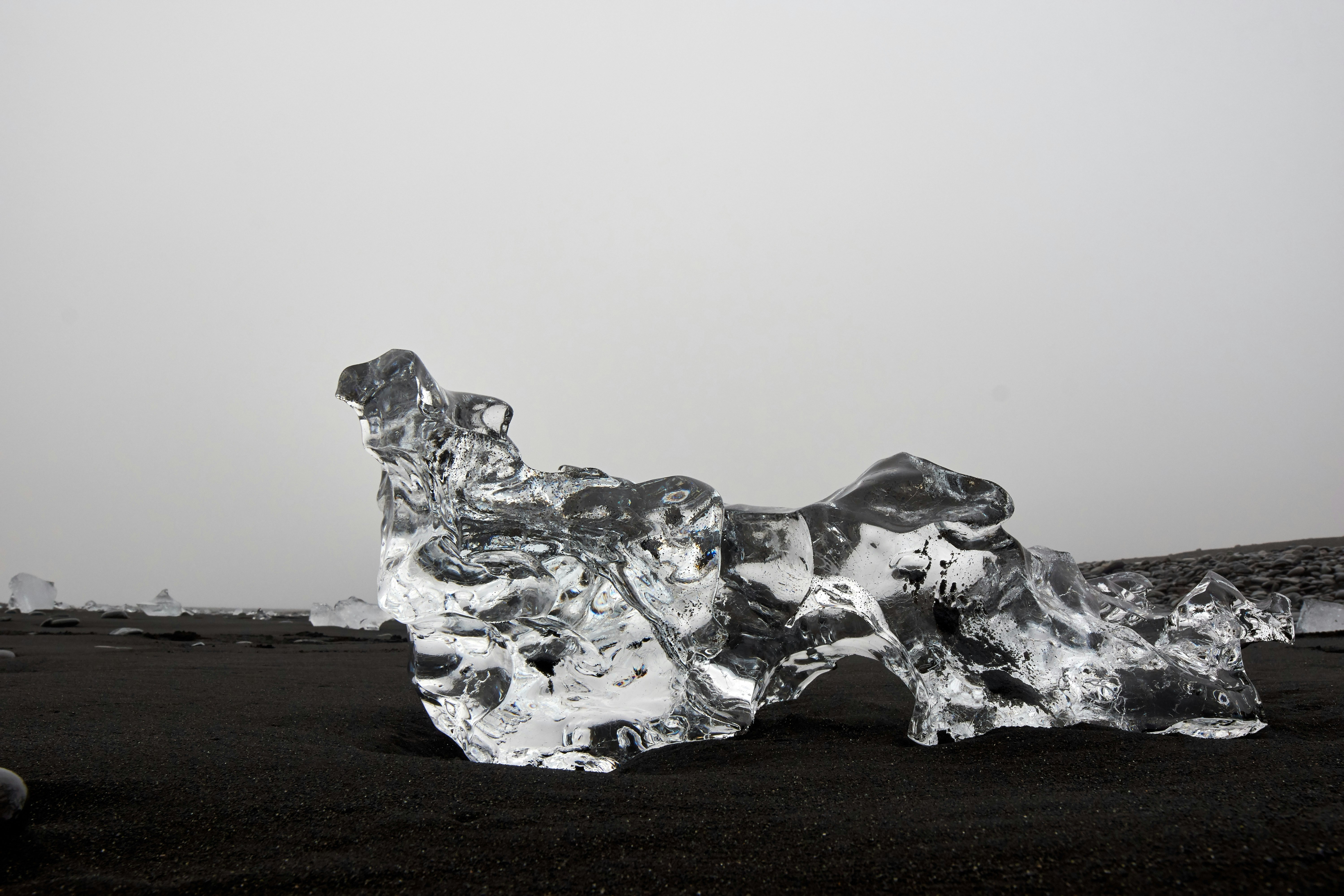 Photo by wolfgang_hasselmann