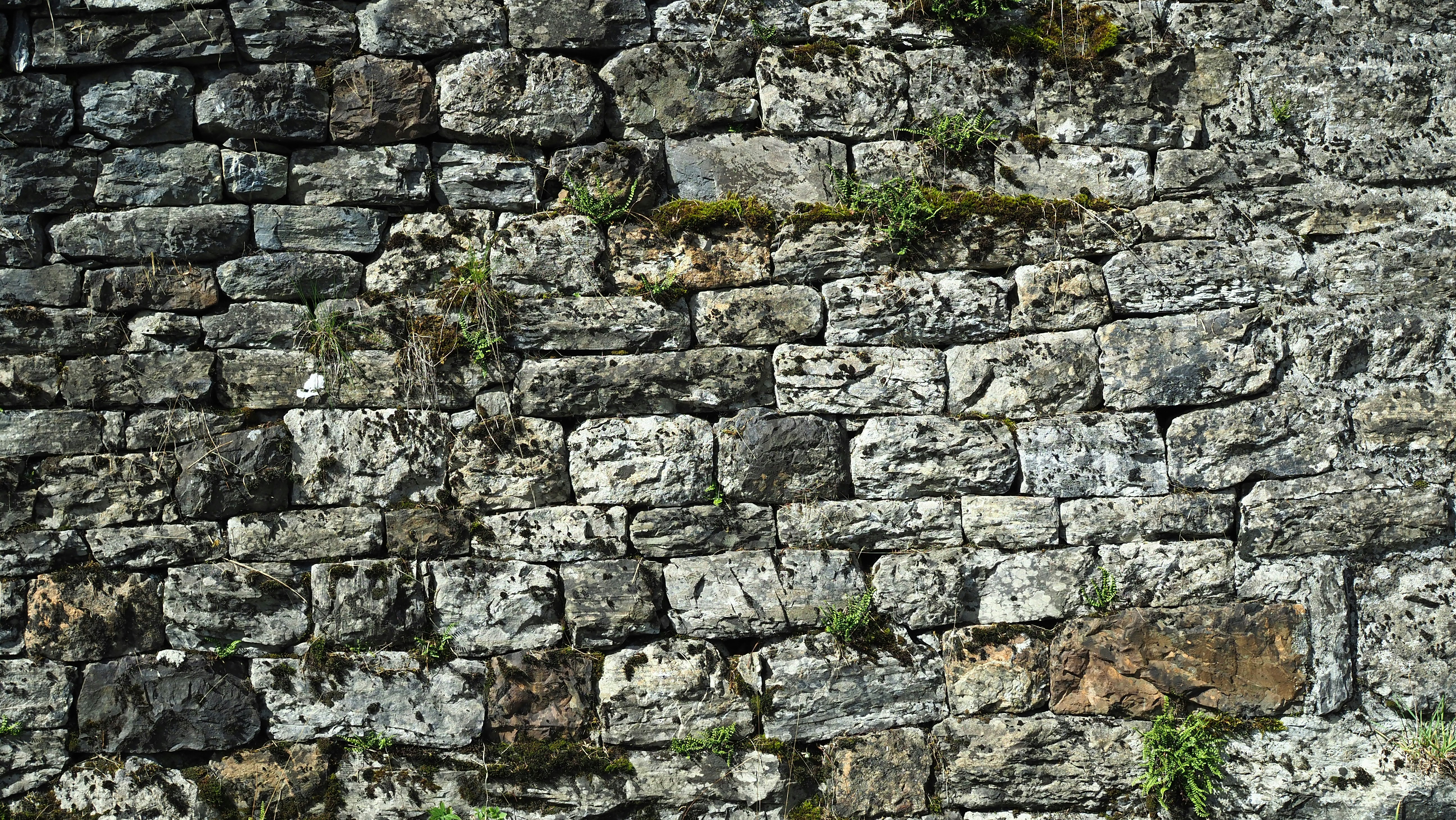 Photo by macun_splash