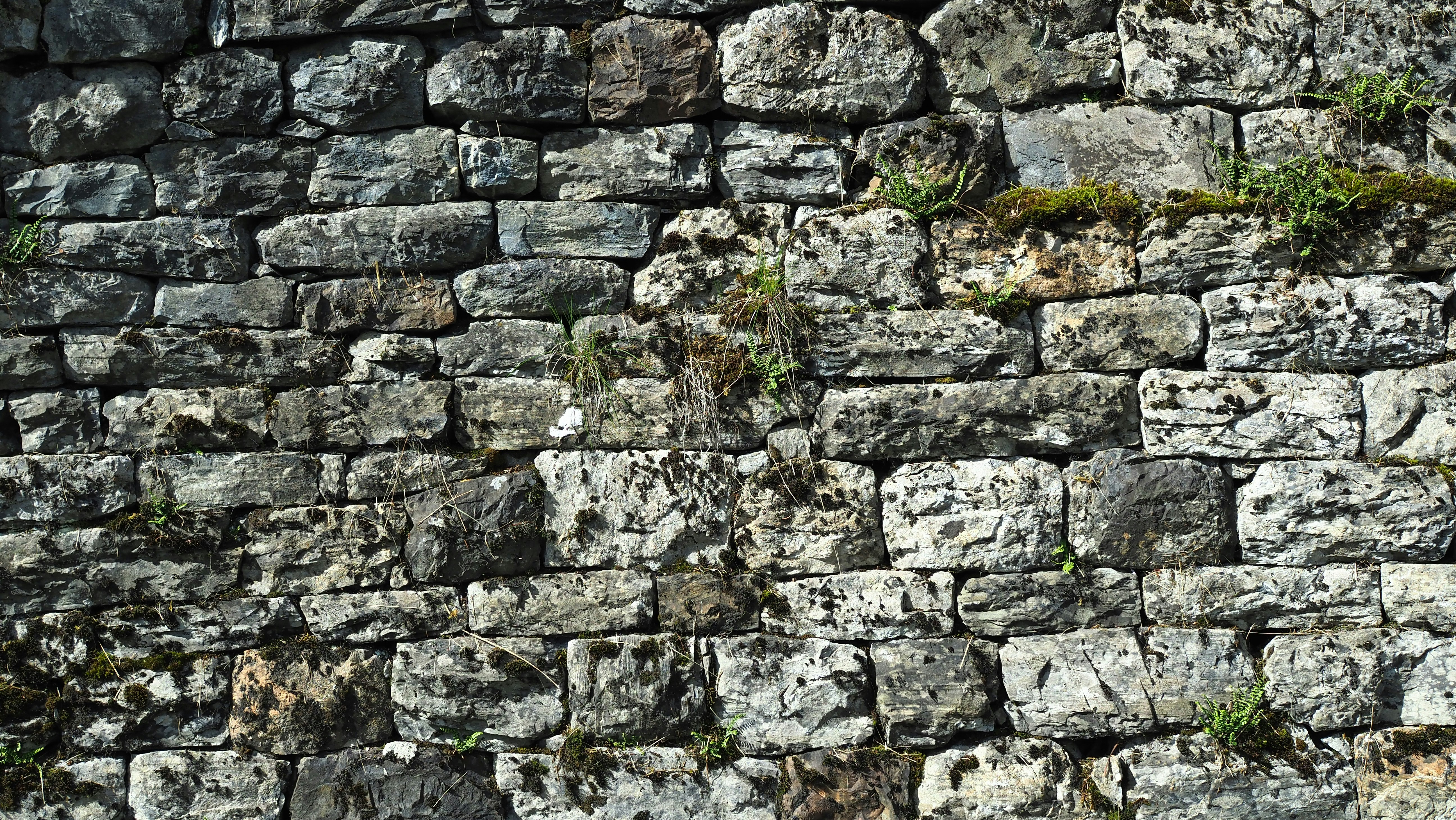 Photo by macun_splash