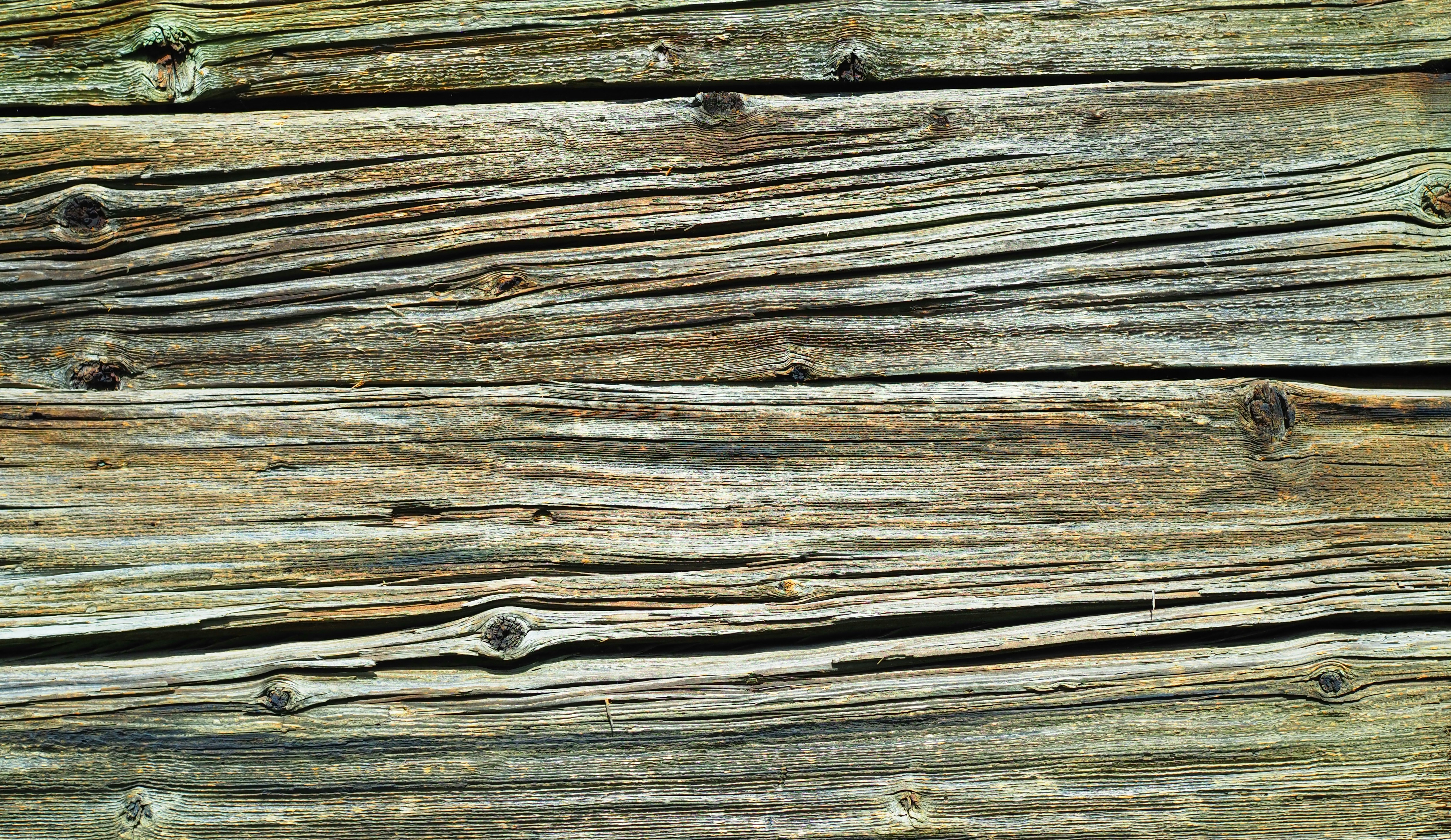 Photo by macun_splash