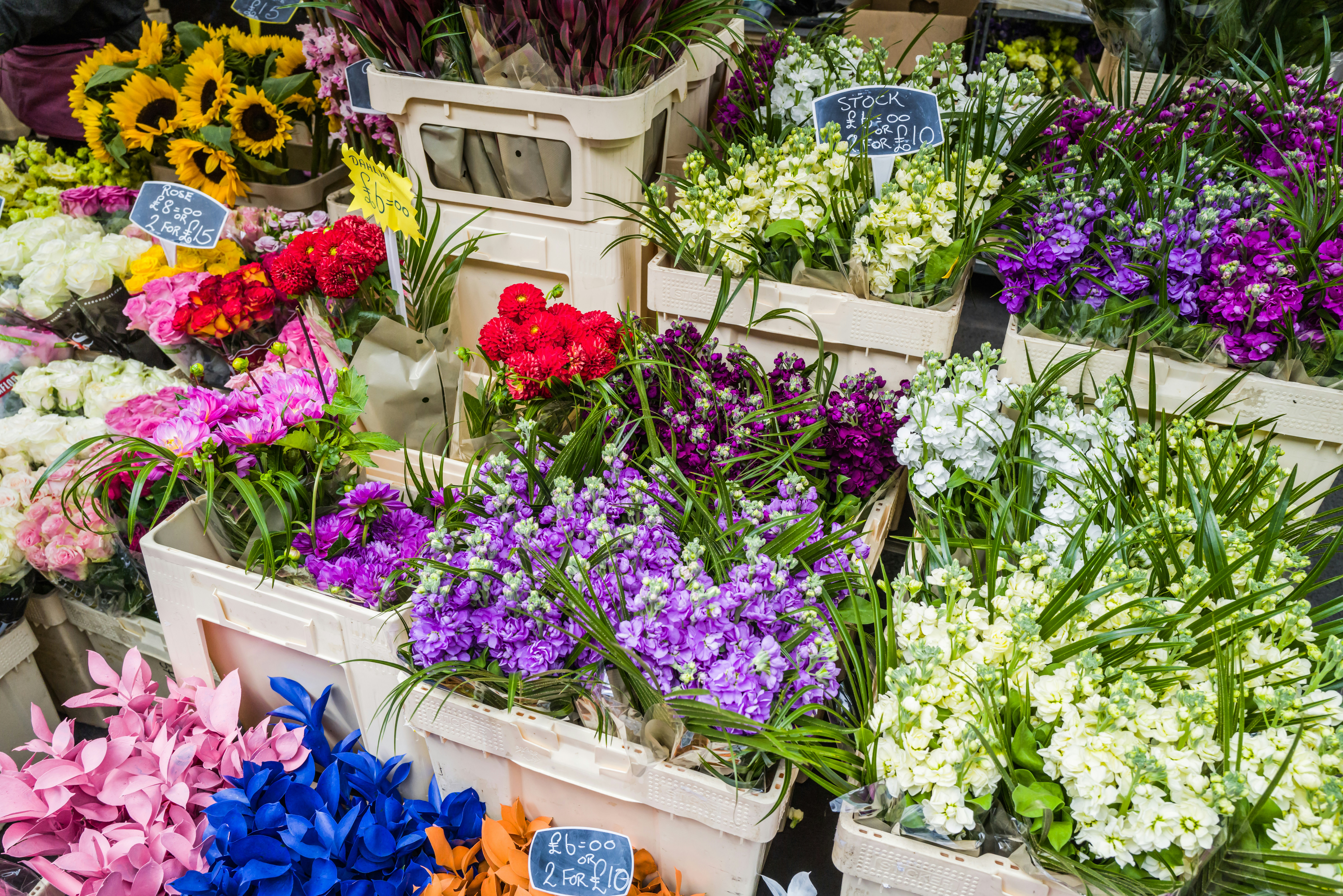 Photo by georgeiermann