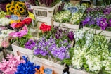 a bunch of flowers that are in baskets