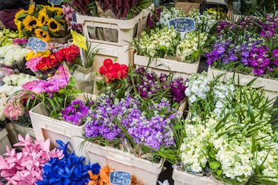 a bunch of flowers that are in baskets