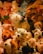 A variety of plush stuffed animals, including dogs, horses, and bears, are piled together in different colors such as brown, white, and pink. Some of these toys have tags attached to them, indicating they are from a store or collection.