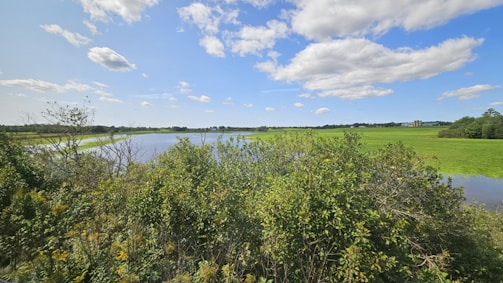 A scenic view of a restored natural habitat.