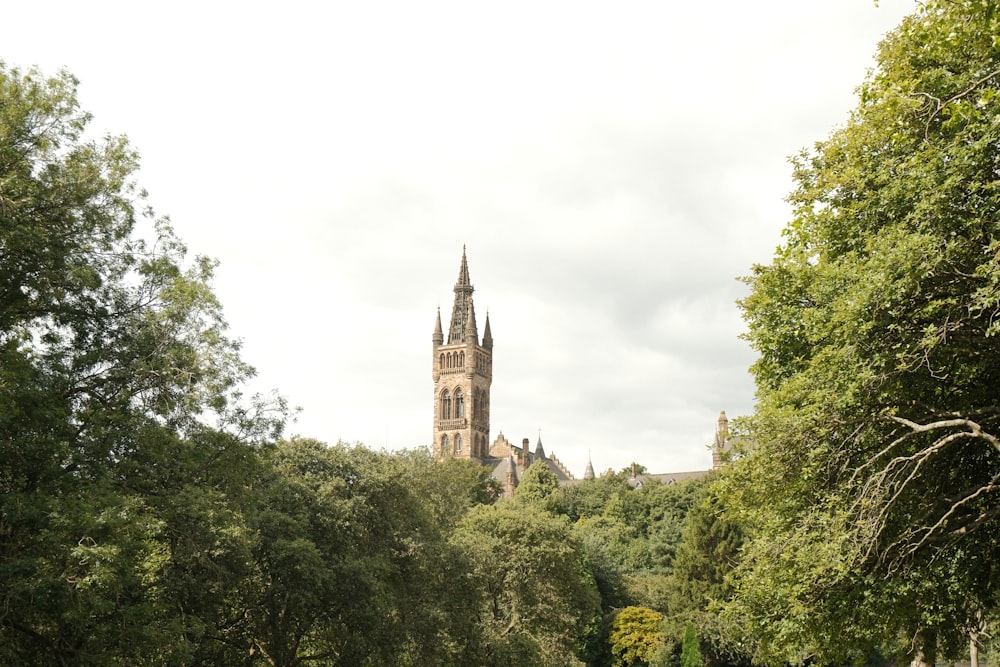 a large cathedral towering over a lush green park