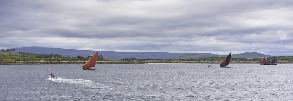 a group of sailboats sailing on a large body of water