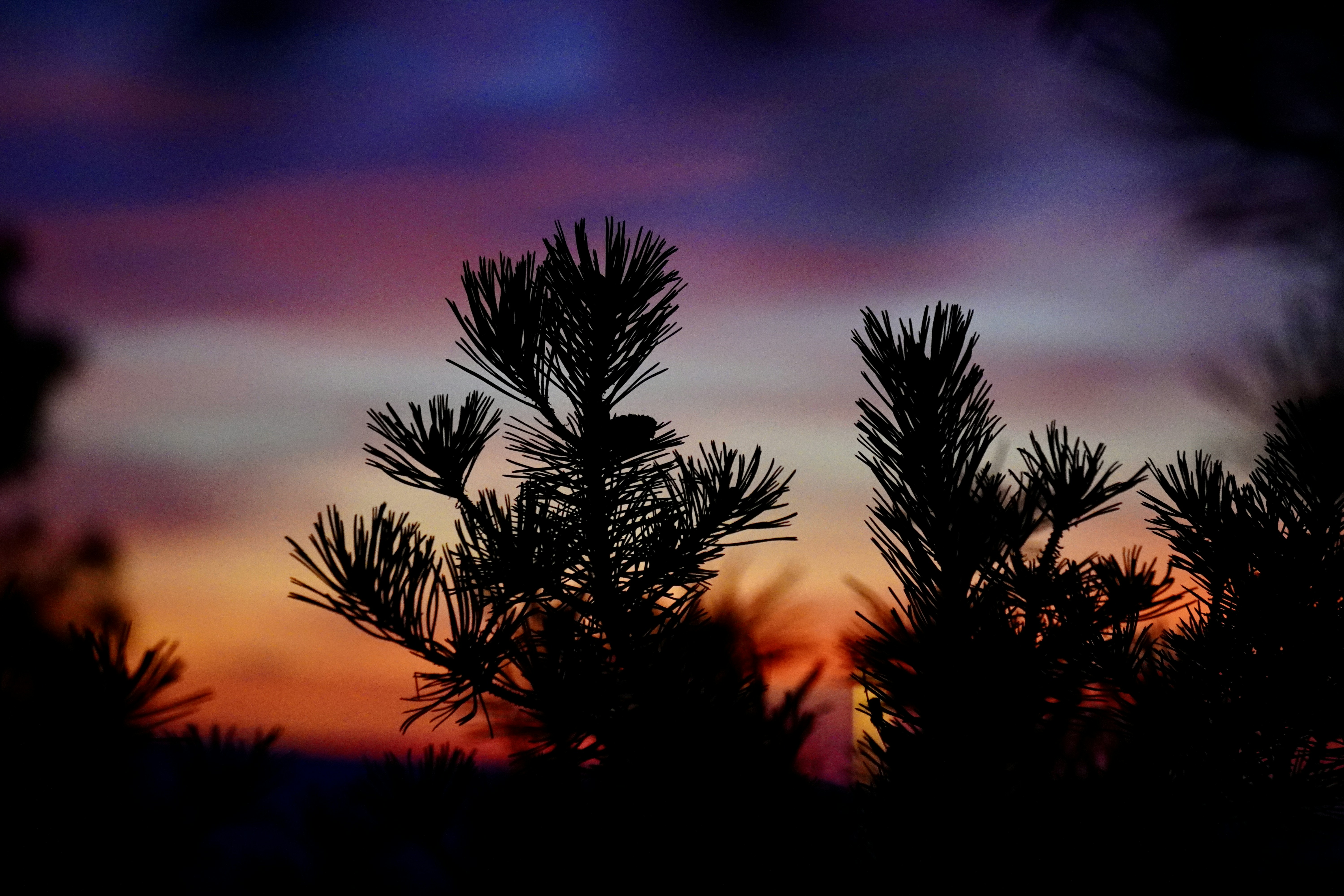 Photo by peterburdon