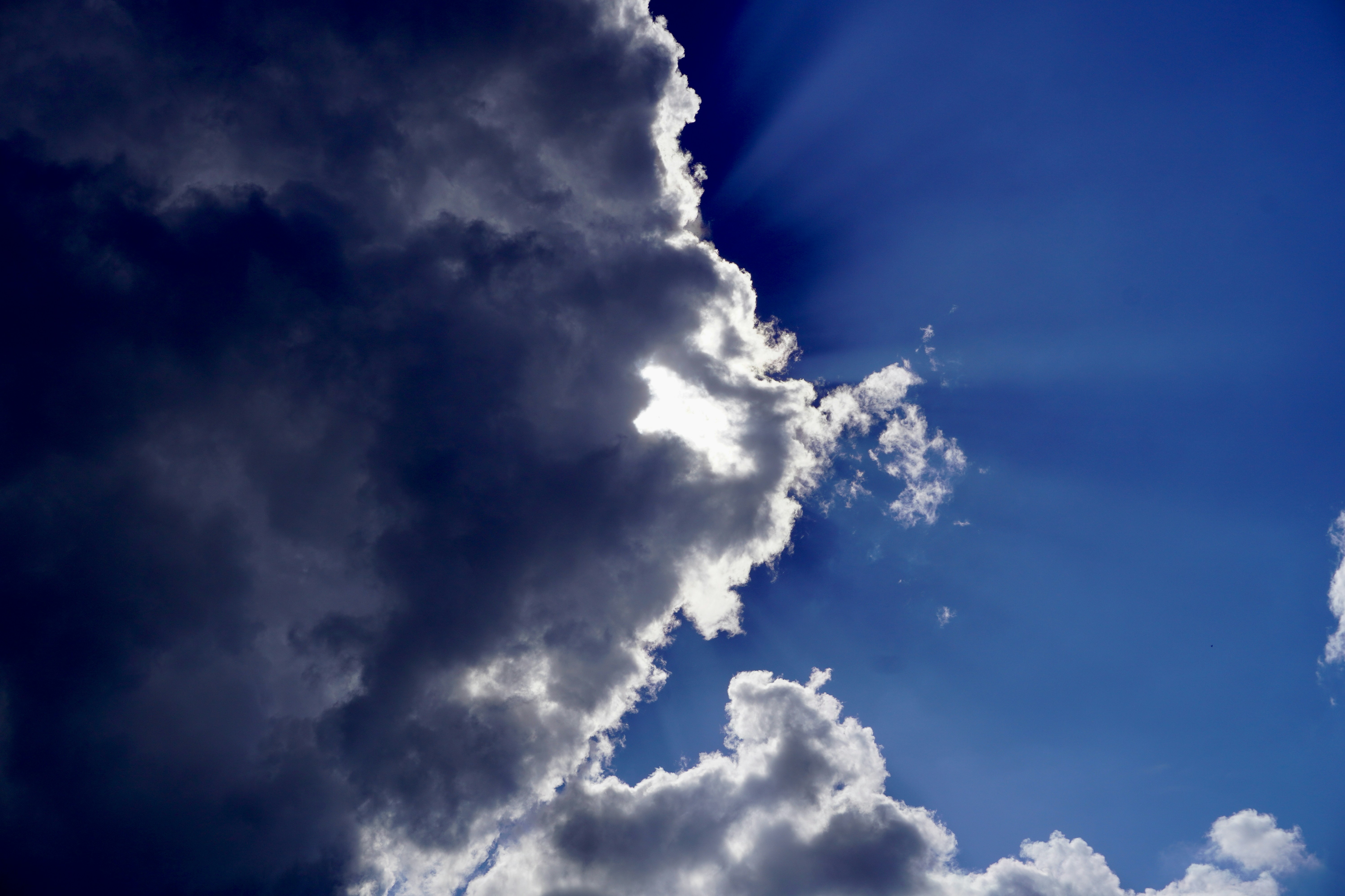 Photo by peterburdon