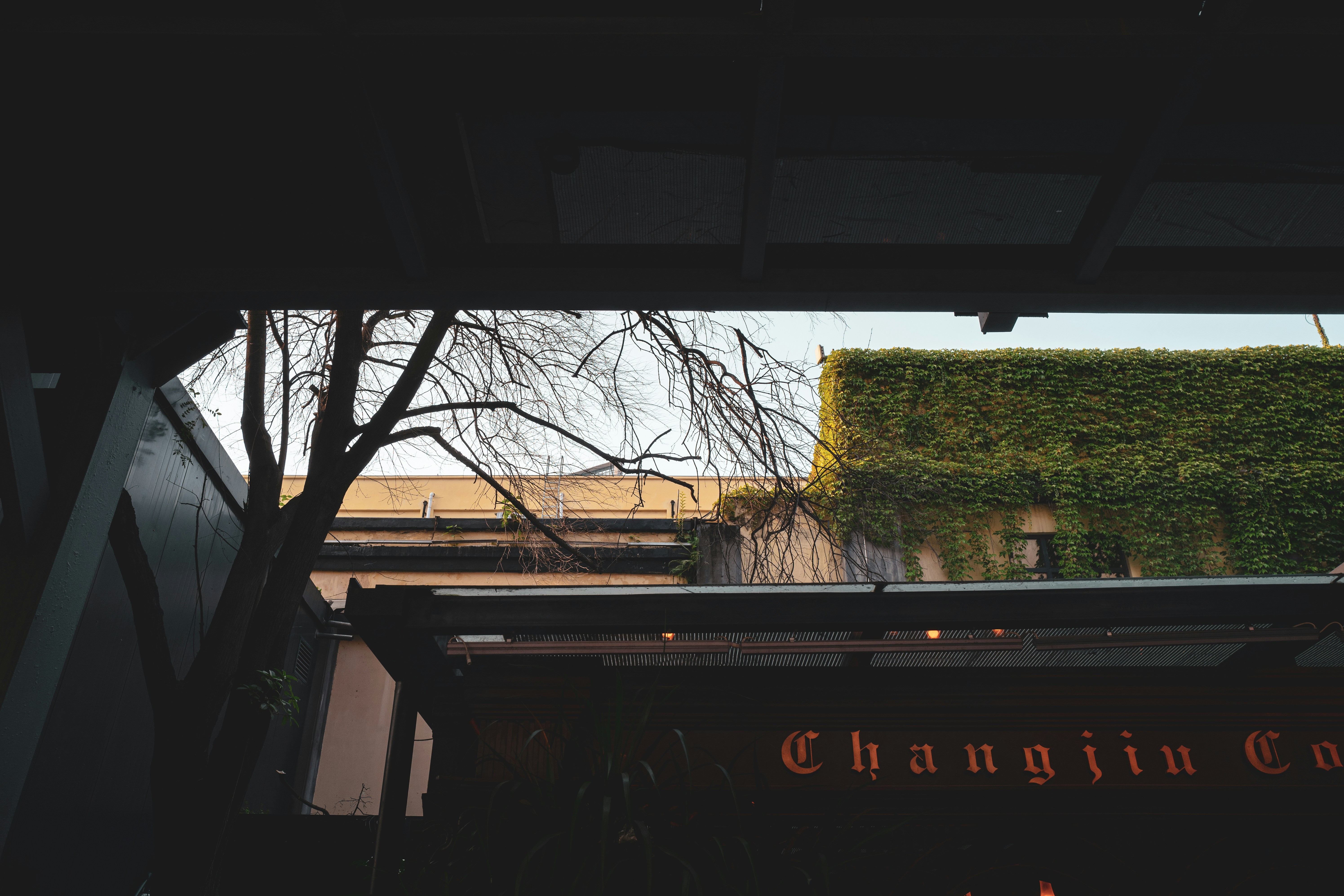 Quai des Chartrons photo 2