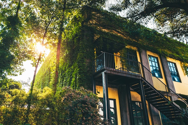A two-story building covered in lush green ivy, with multiple windows, a black metal staircase, and surrounded by tall trees and sunlit foliage creating a serene, natural atmosphere.