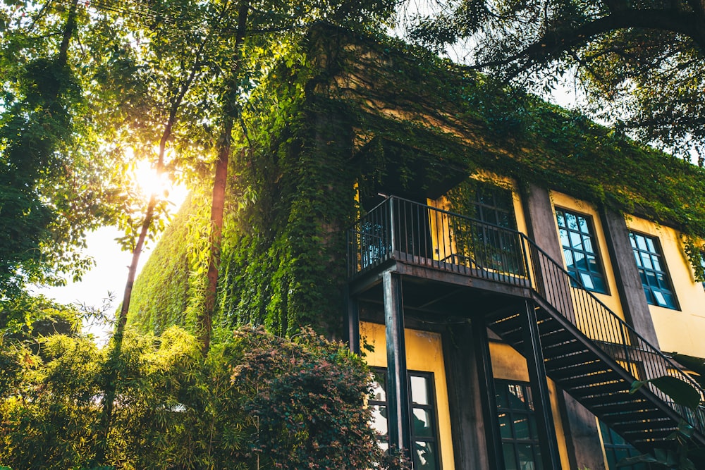 a house covered in vines with the sun shining through the trees