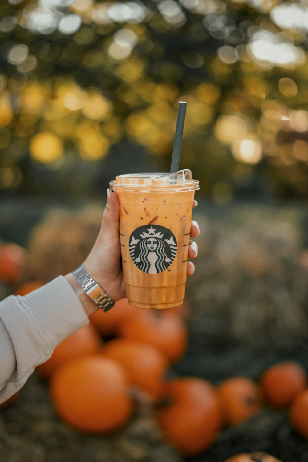 Uma pessoa segurando uma bebida Starbucks com laranjas ao fundo