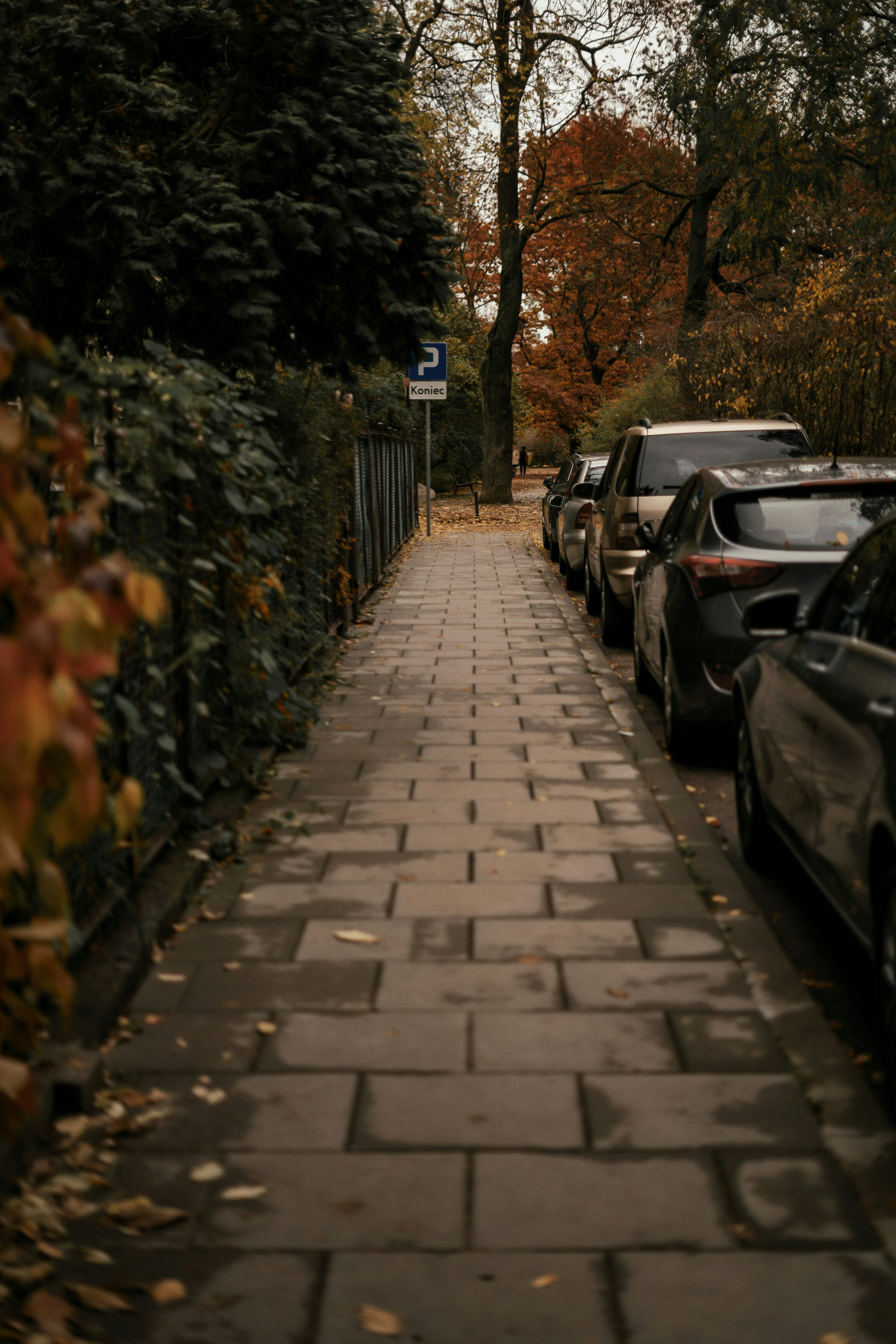 Photo by olenkasergienko