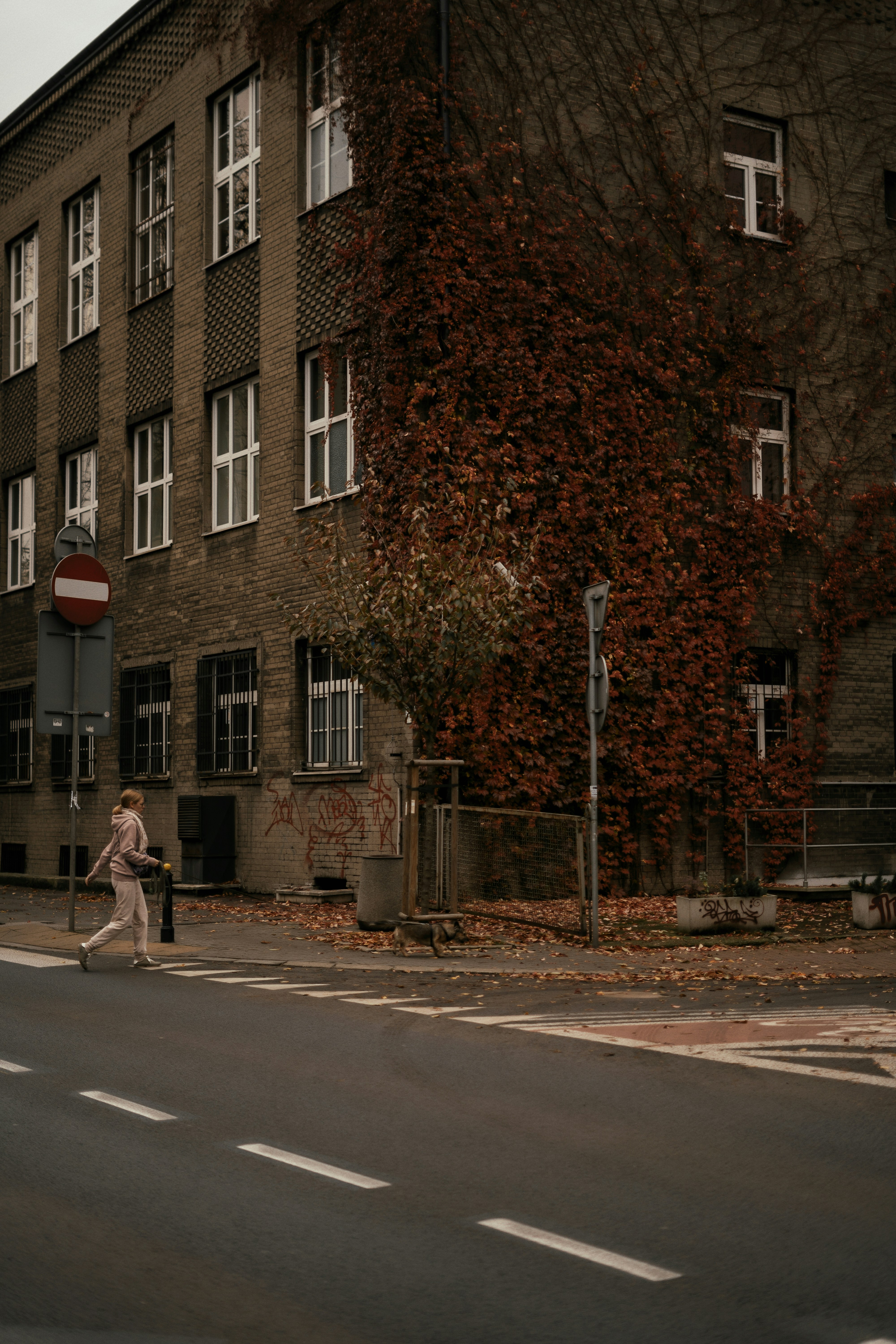 Photo by olenkasergienko