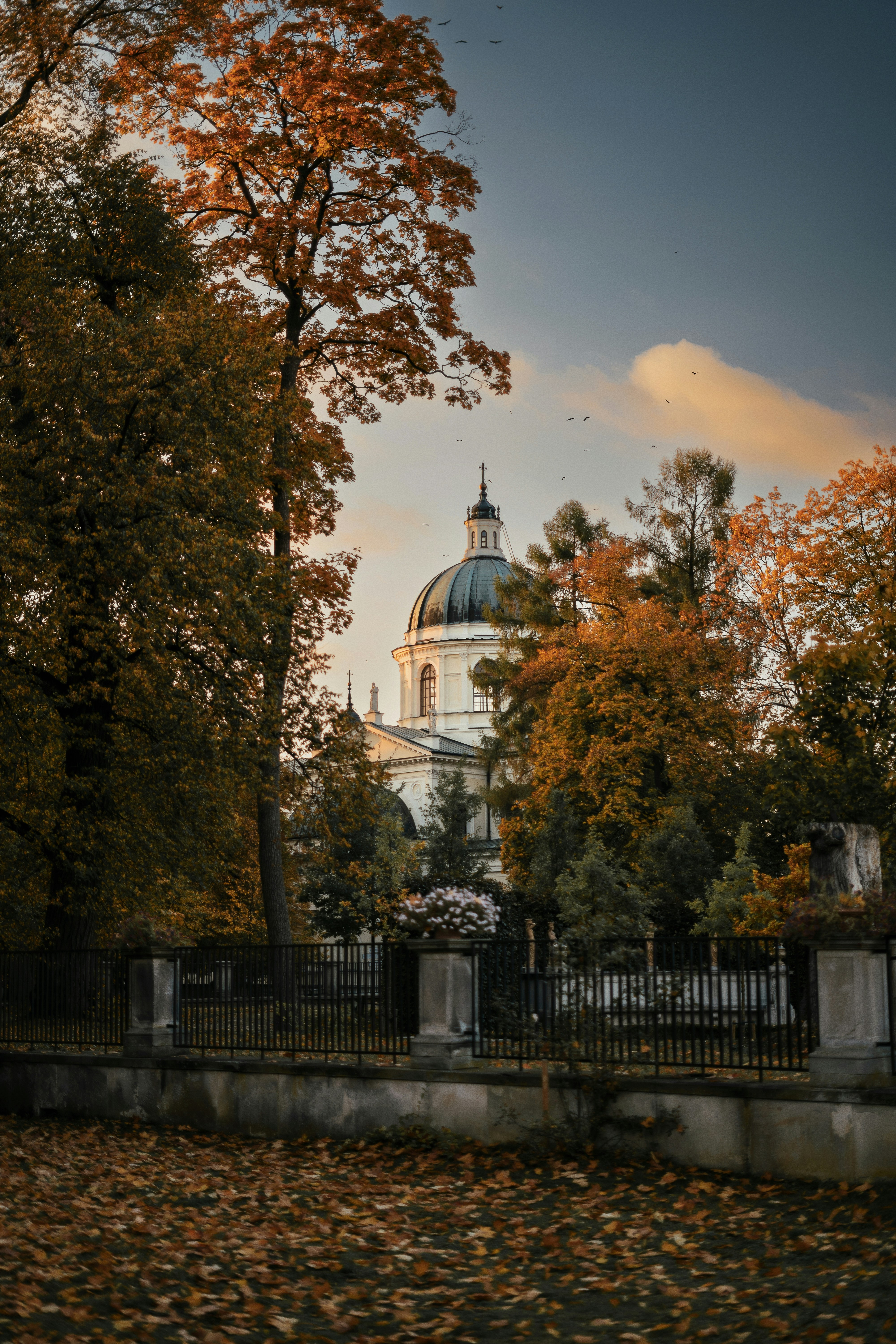 Photo by olenkasergienko