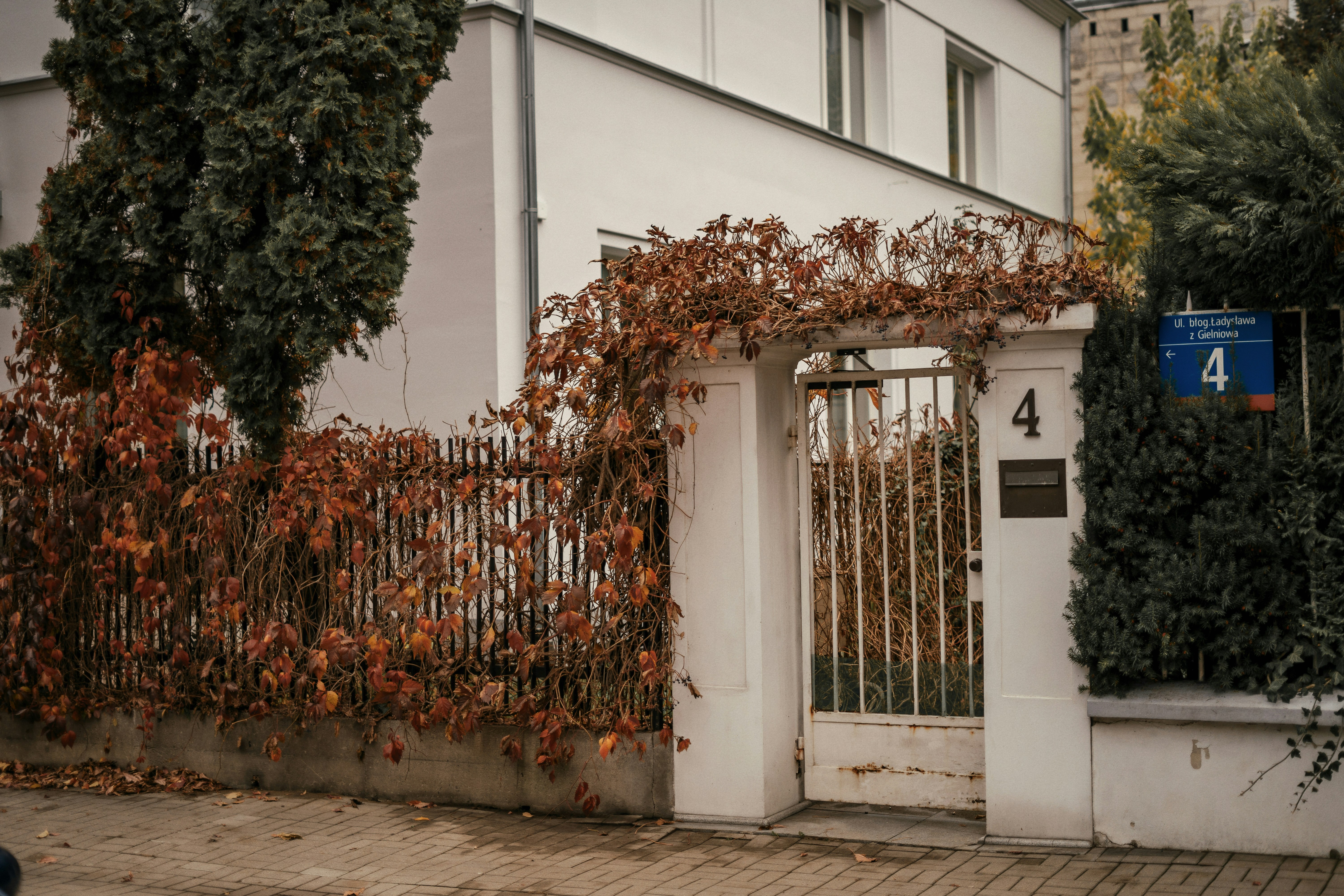 Photo by olenkasergienko