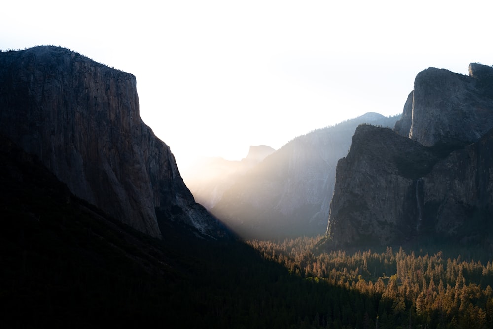 the sun shines on the mountains and trees