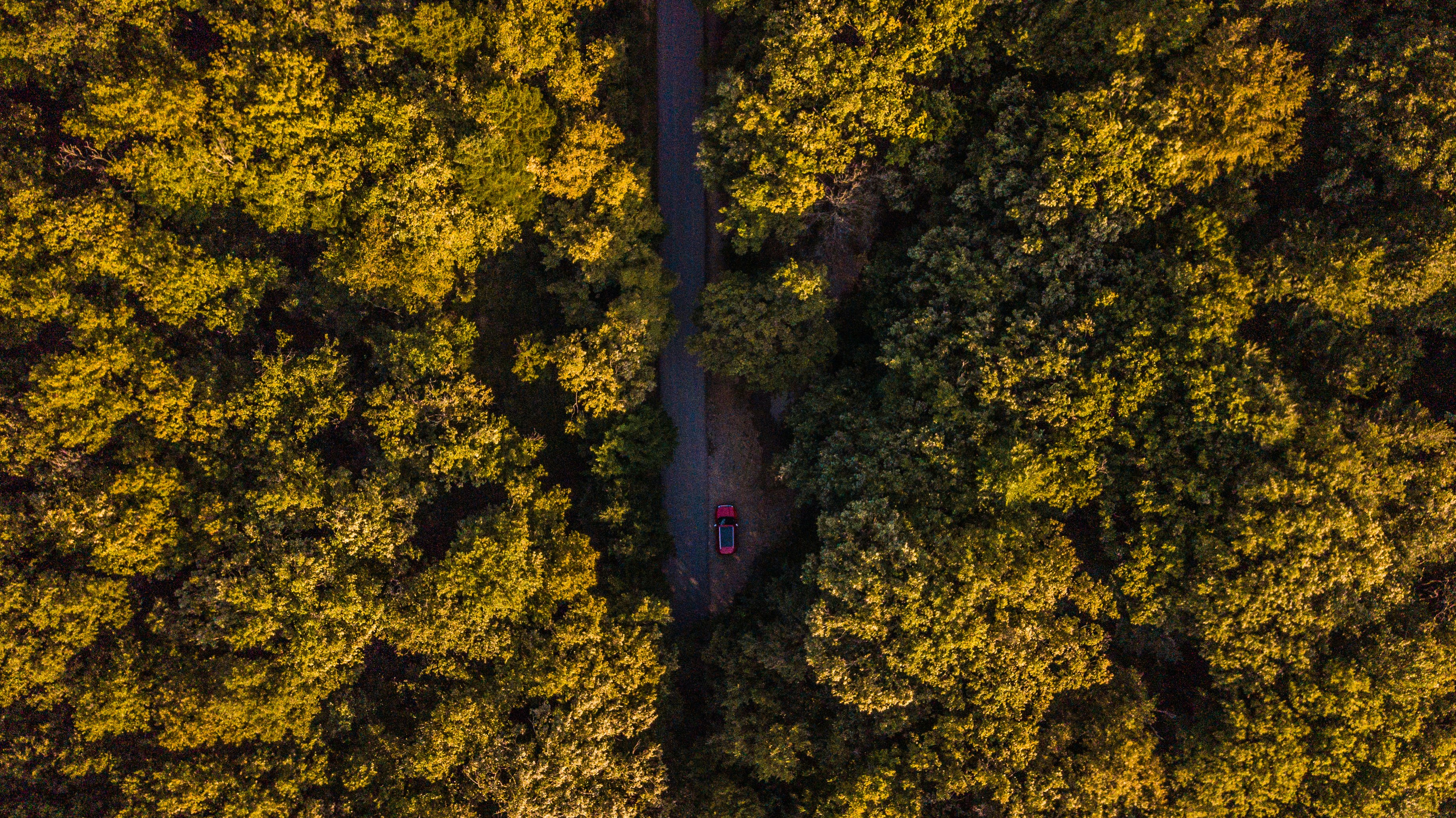 Photo by mo_design_3d