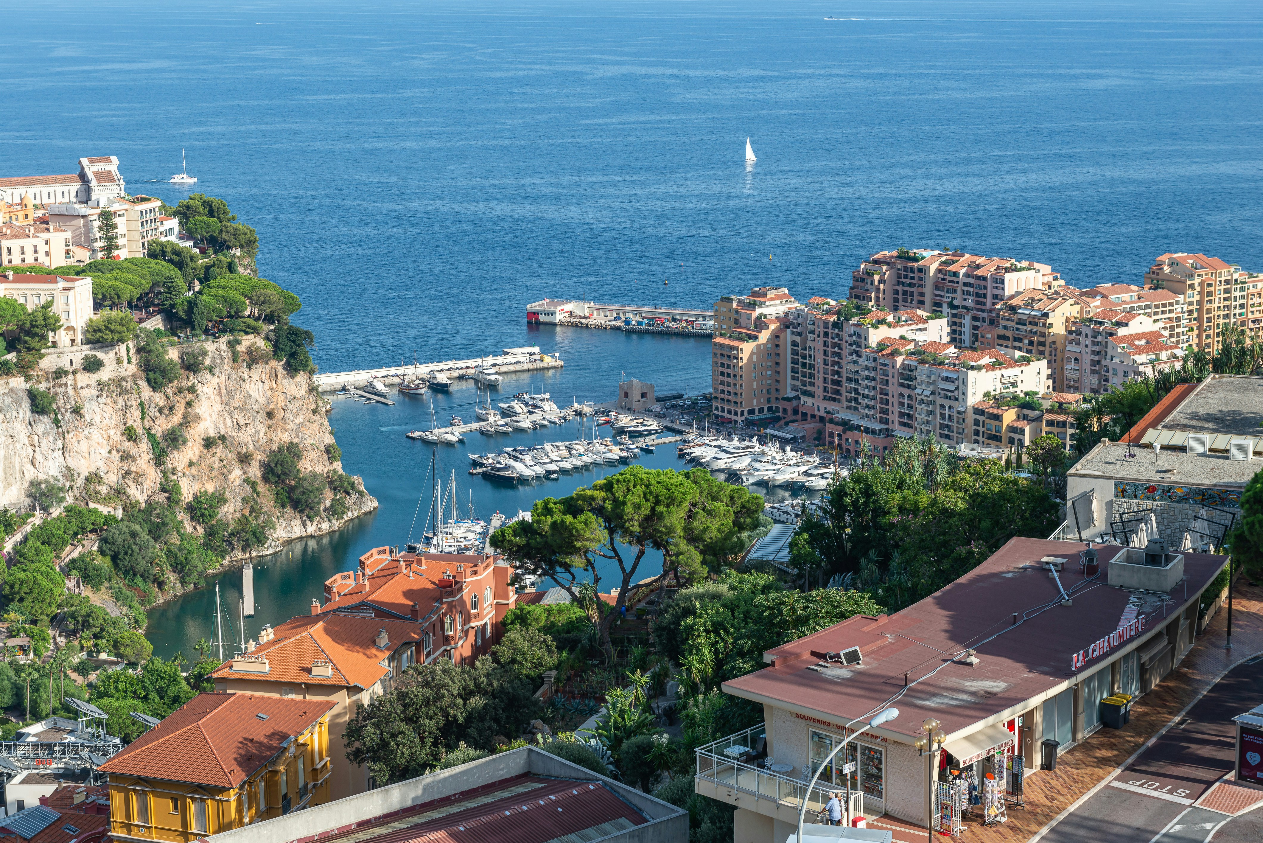 Photo by nikonprophoto