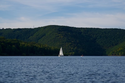 A serene boat gliding on a calm lake surrounded by dense forest and birds flying overhead.
