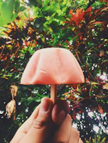 Hand holding a gourmet popsicle with tropical fruit pieces against a beach background