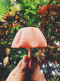 Hand holding a gourmet popsicle with tropical fruit pieces against a beach background