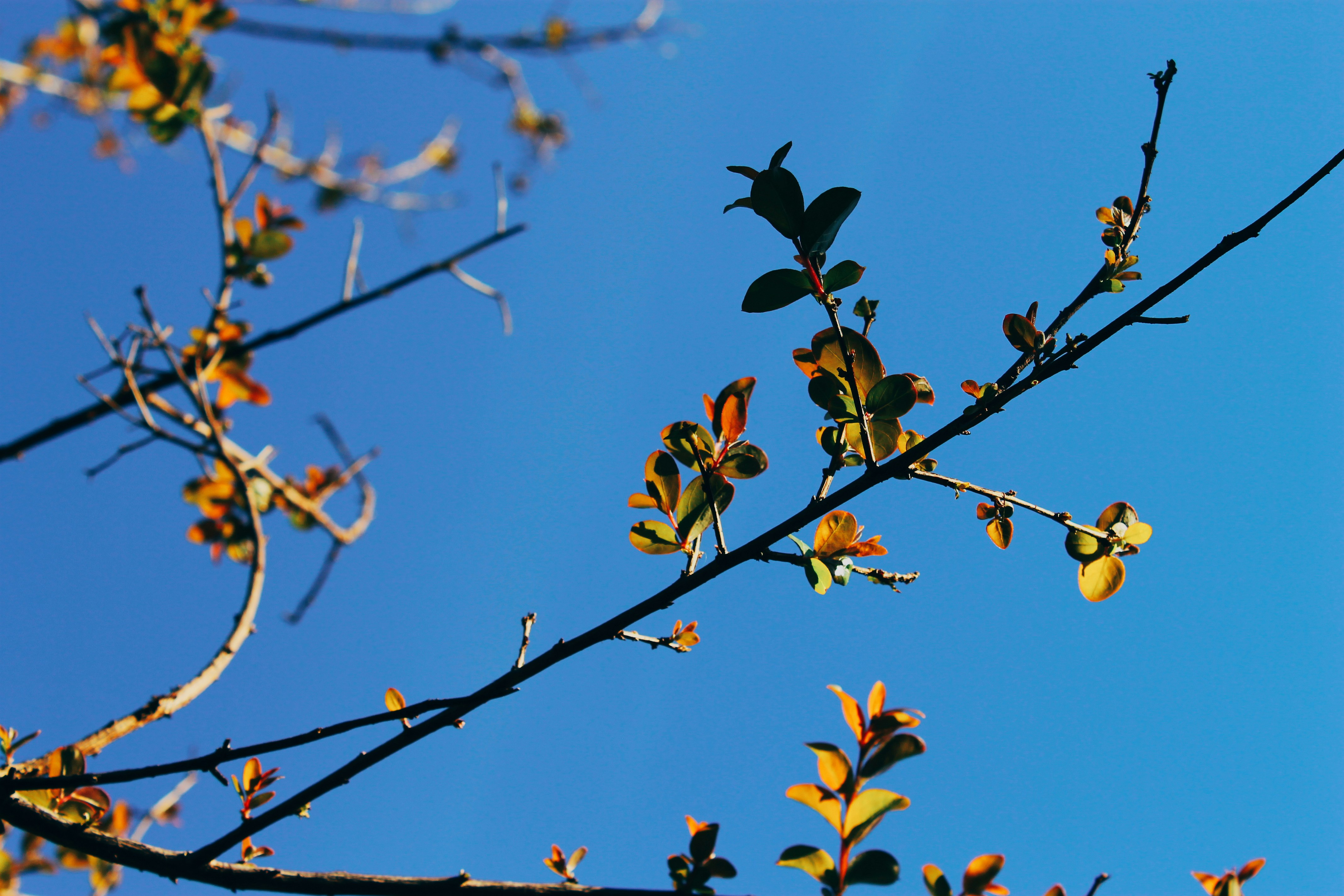 Photo by franciscobachez