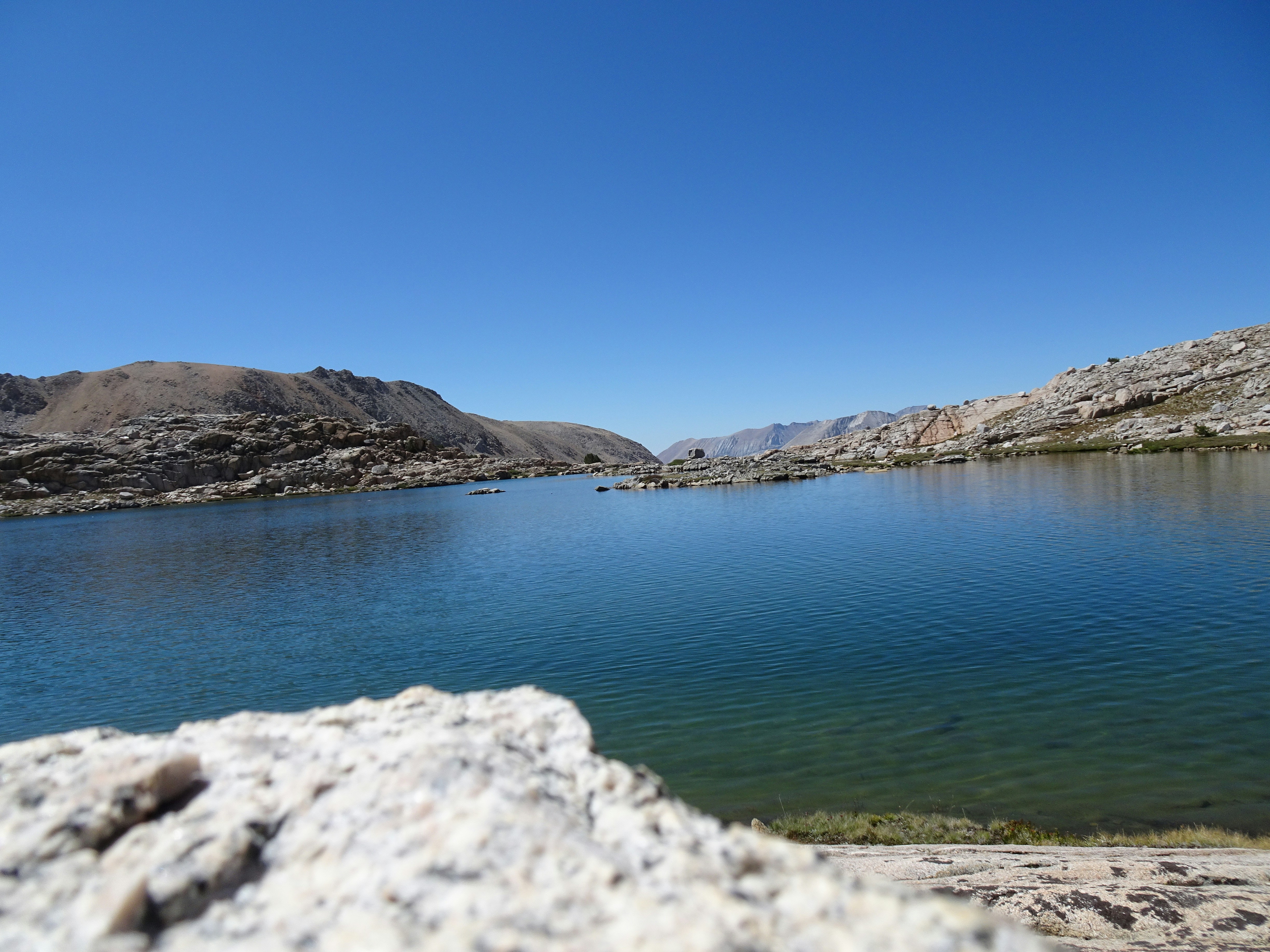 Photo by diggity_dog