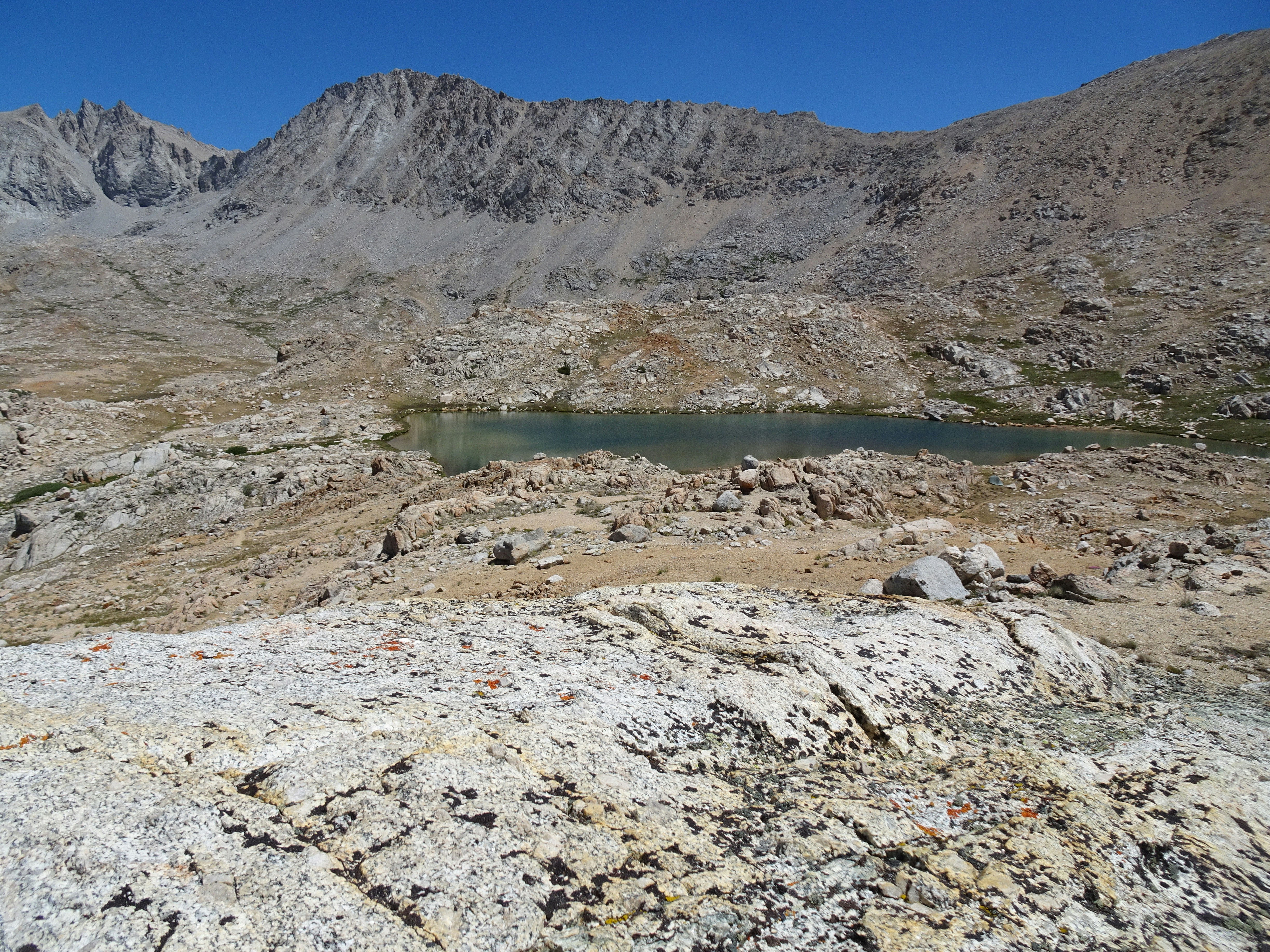 Photo by diggity_dog