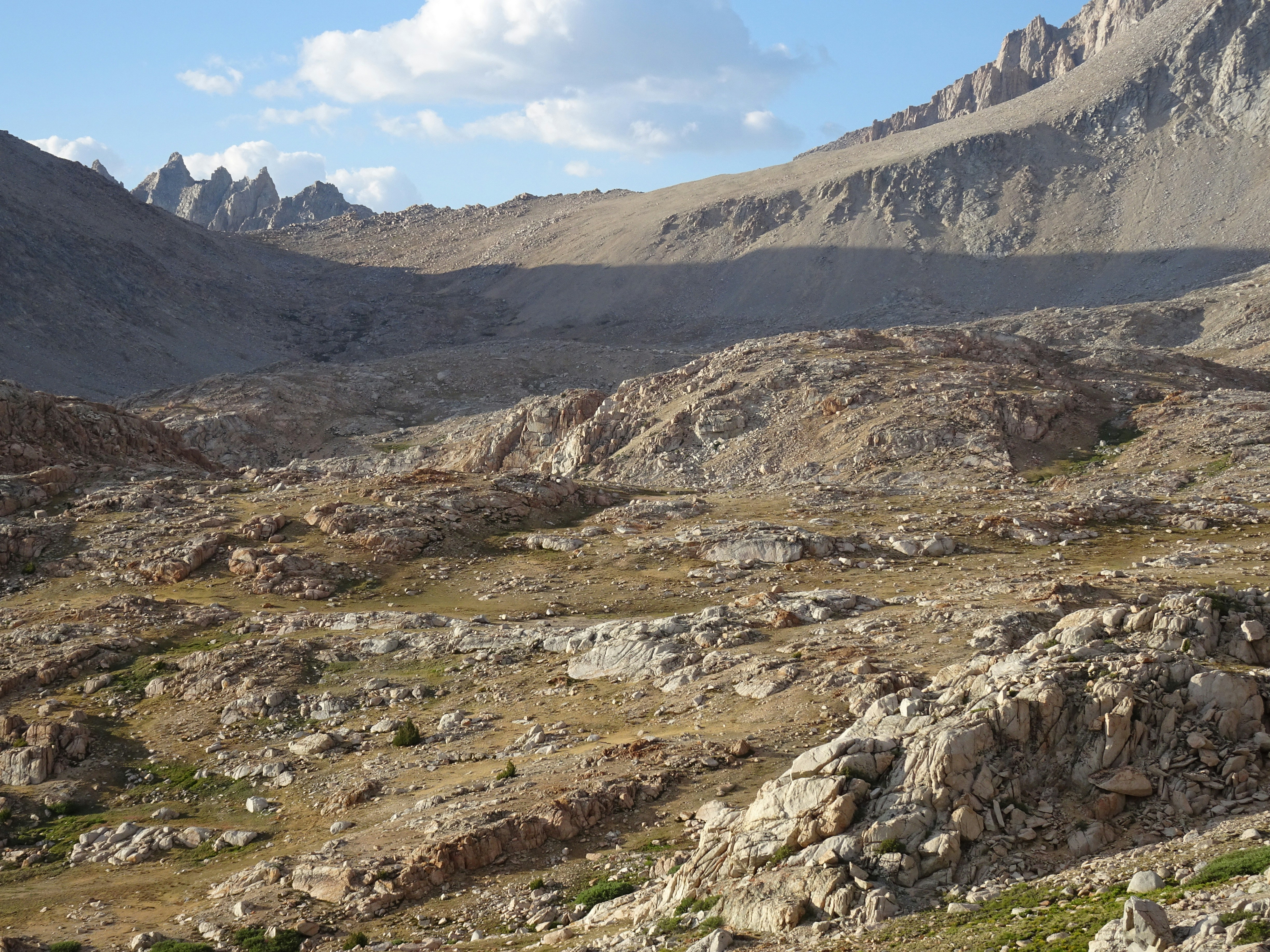 Photo by diggity_dog