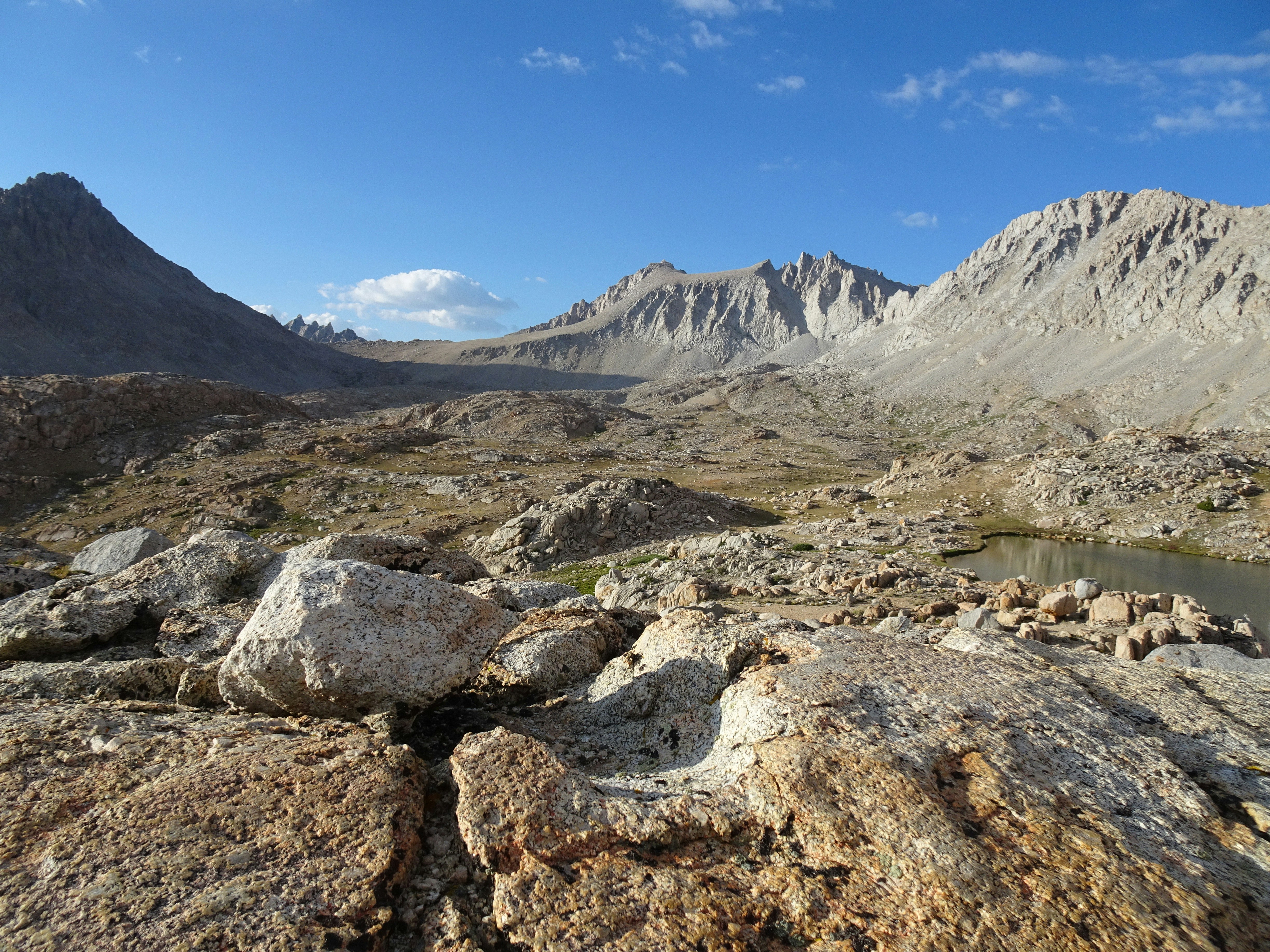 Photo by diggity_dog