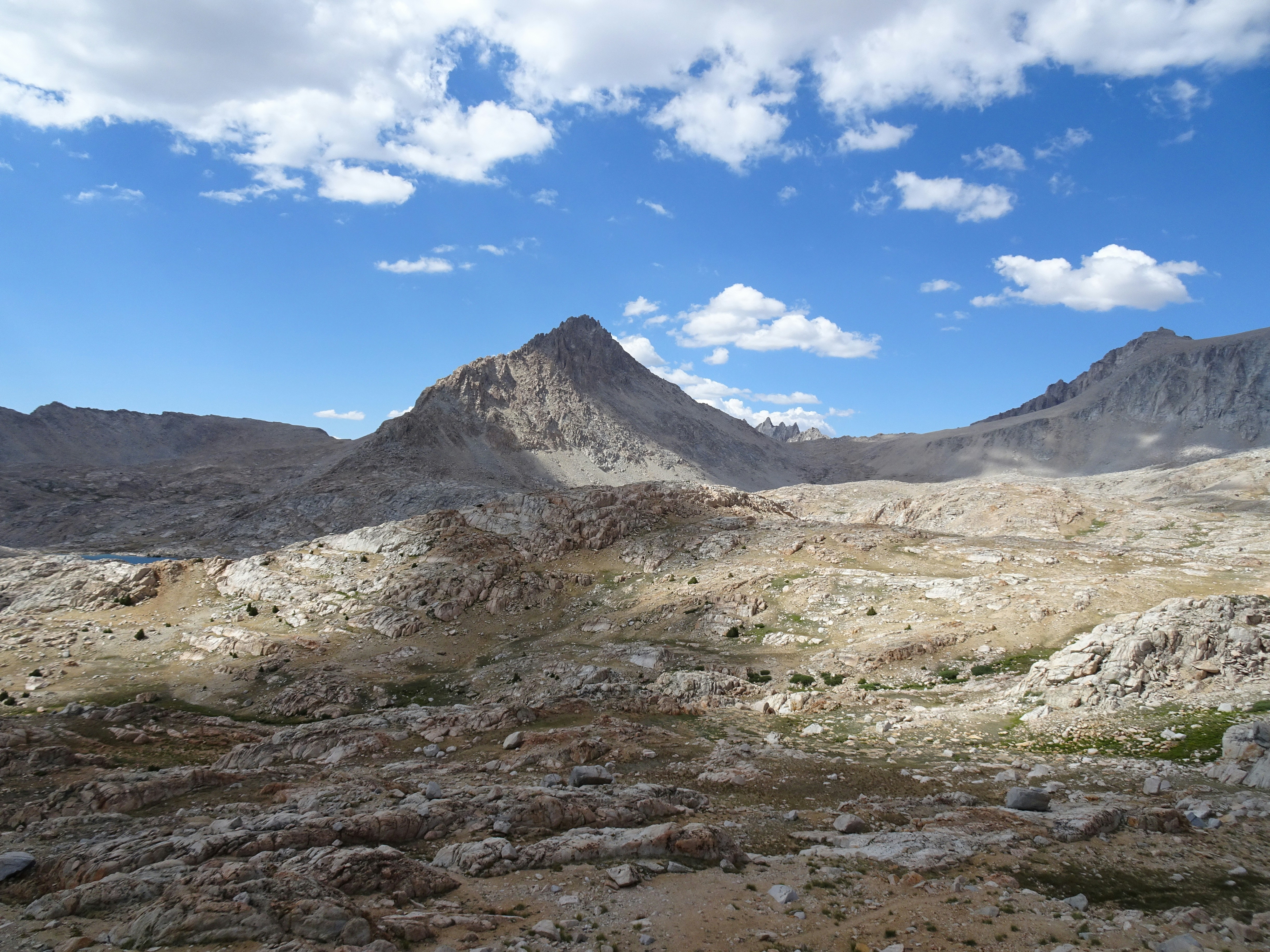 Photo by diggity_dog