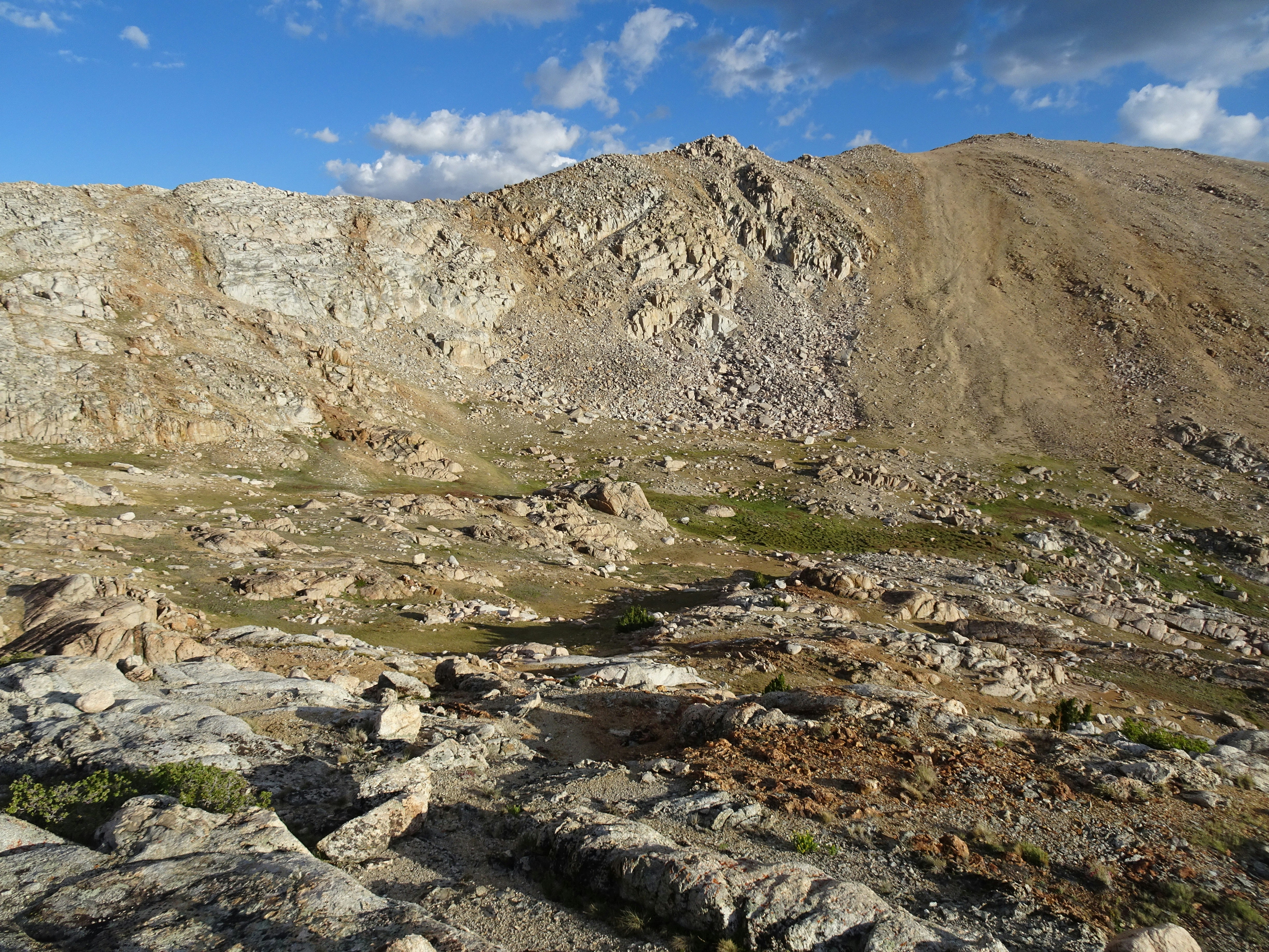 Photo by diggity_dog