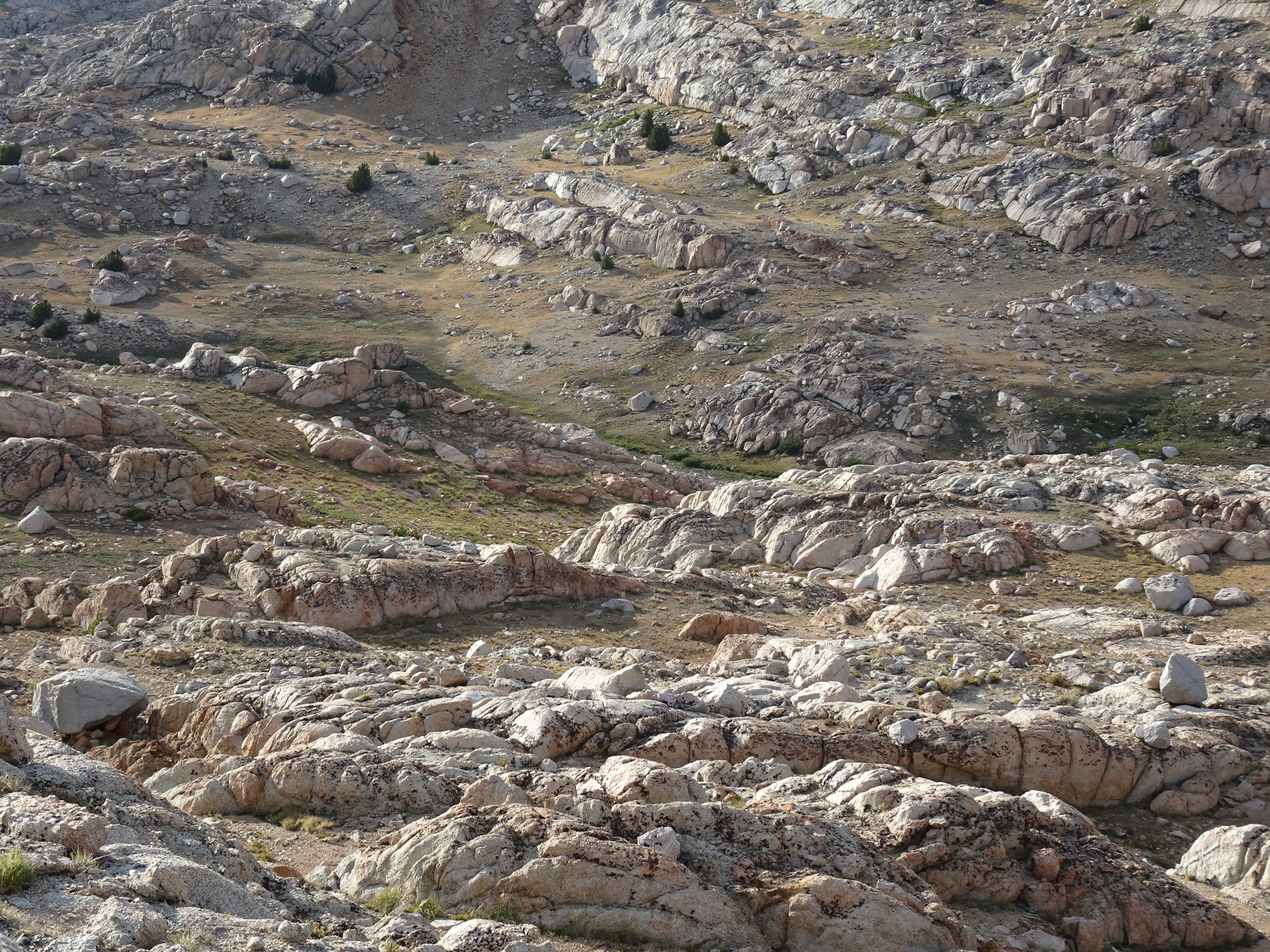 Photo by diggity_dog