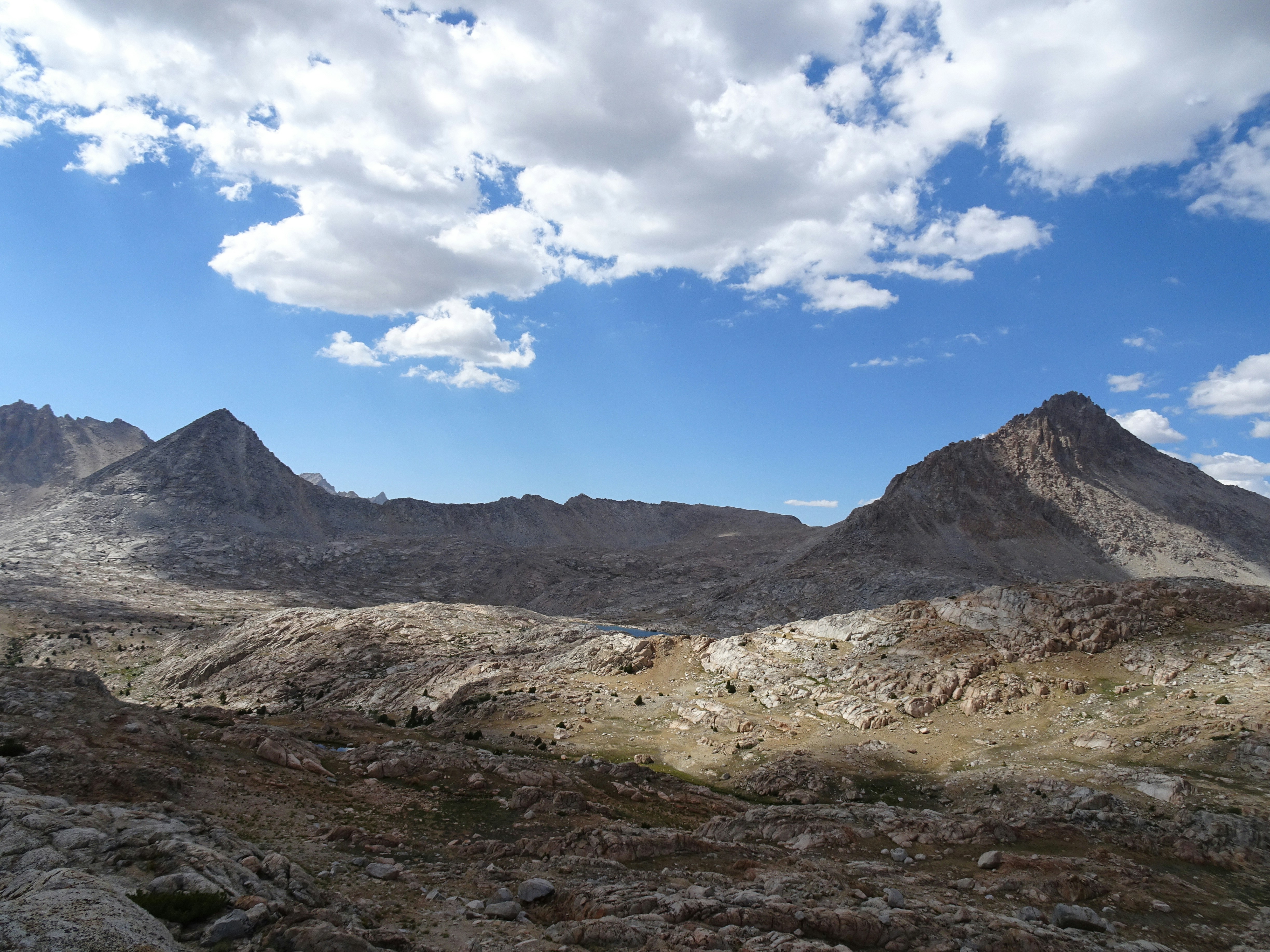 Photo by diggity_dog