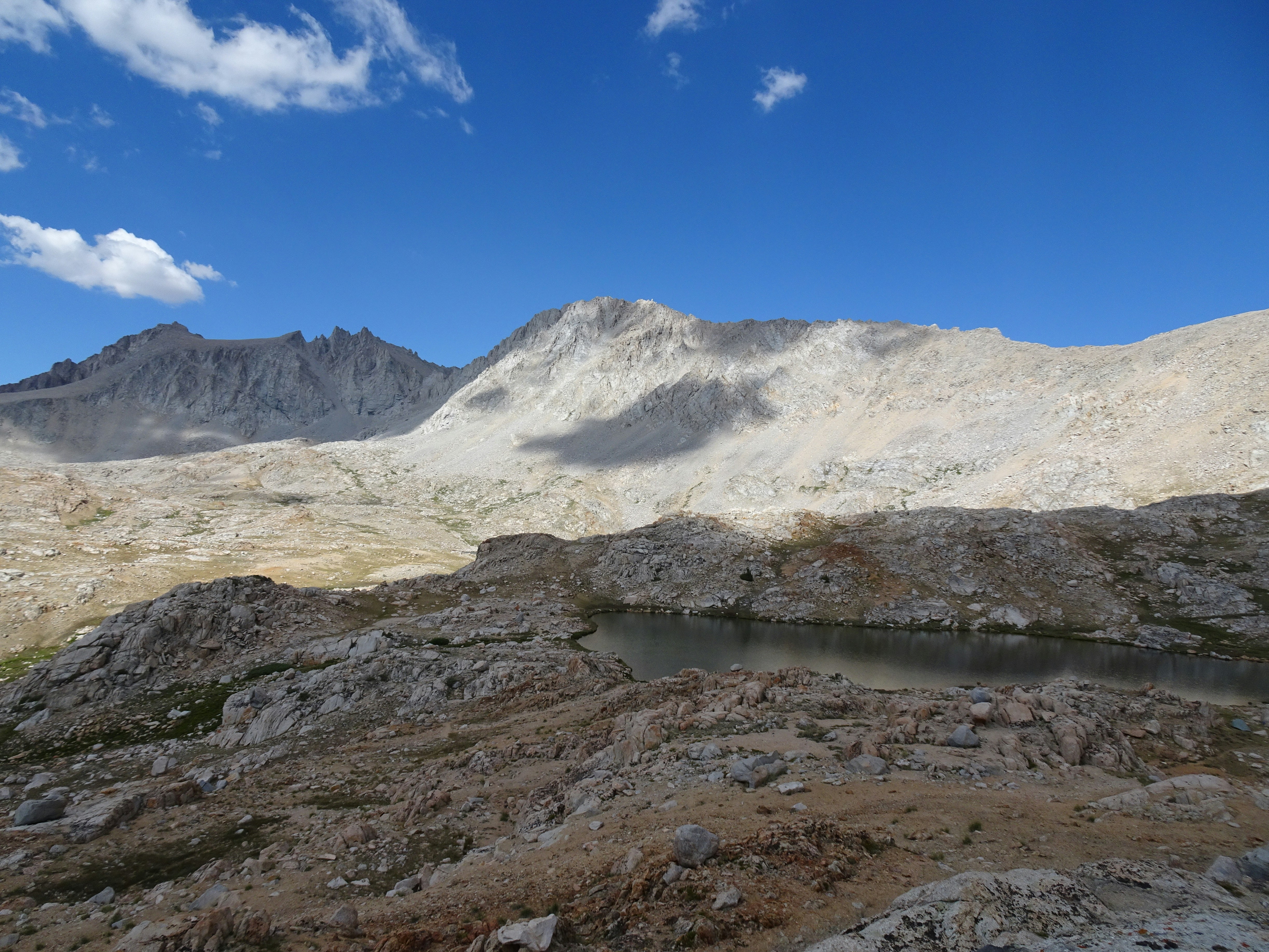 Photo by diggity_dog