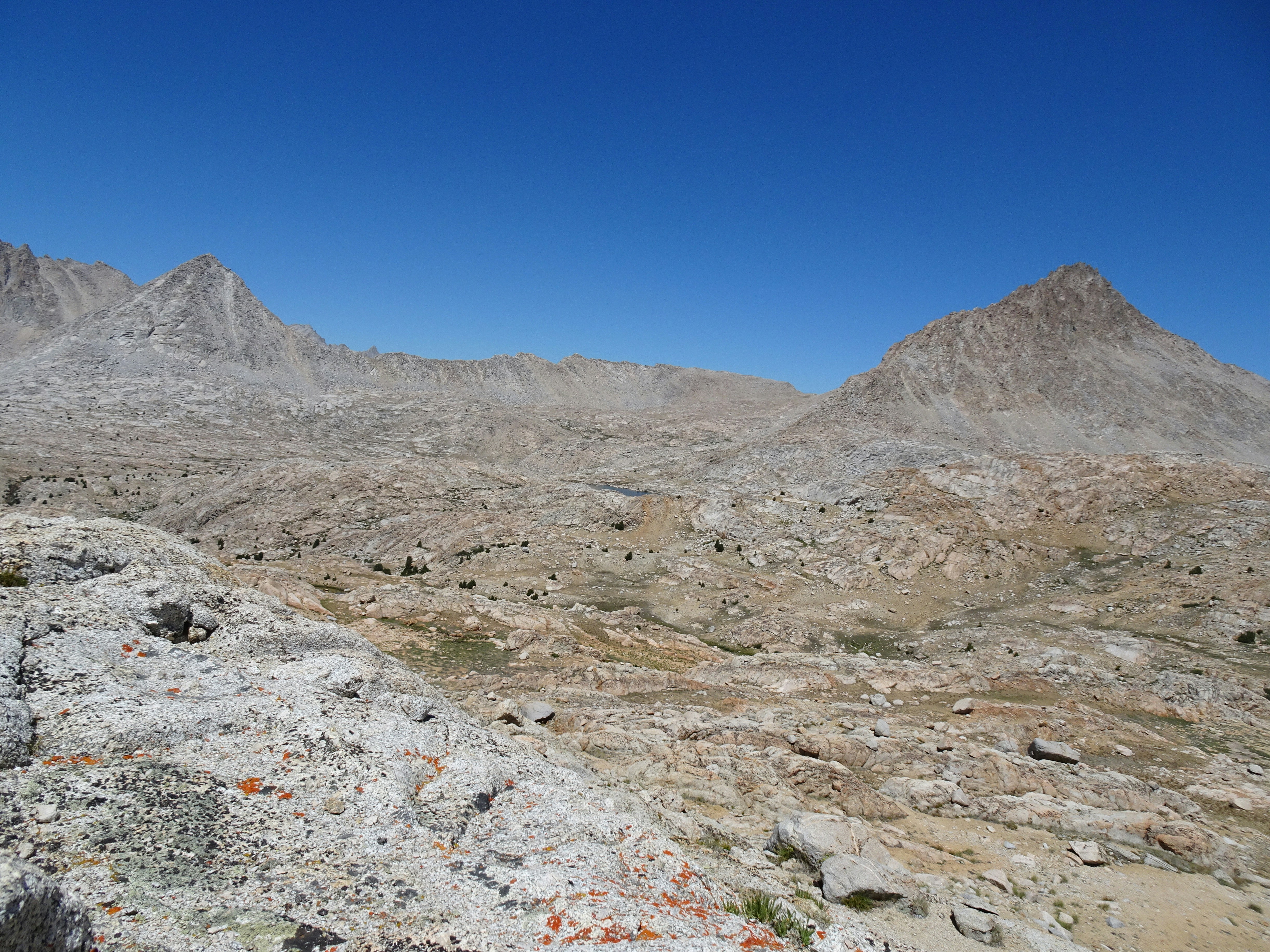 Photo by diggity_dog