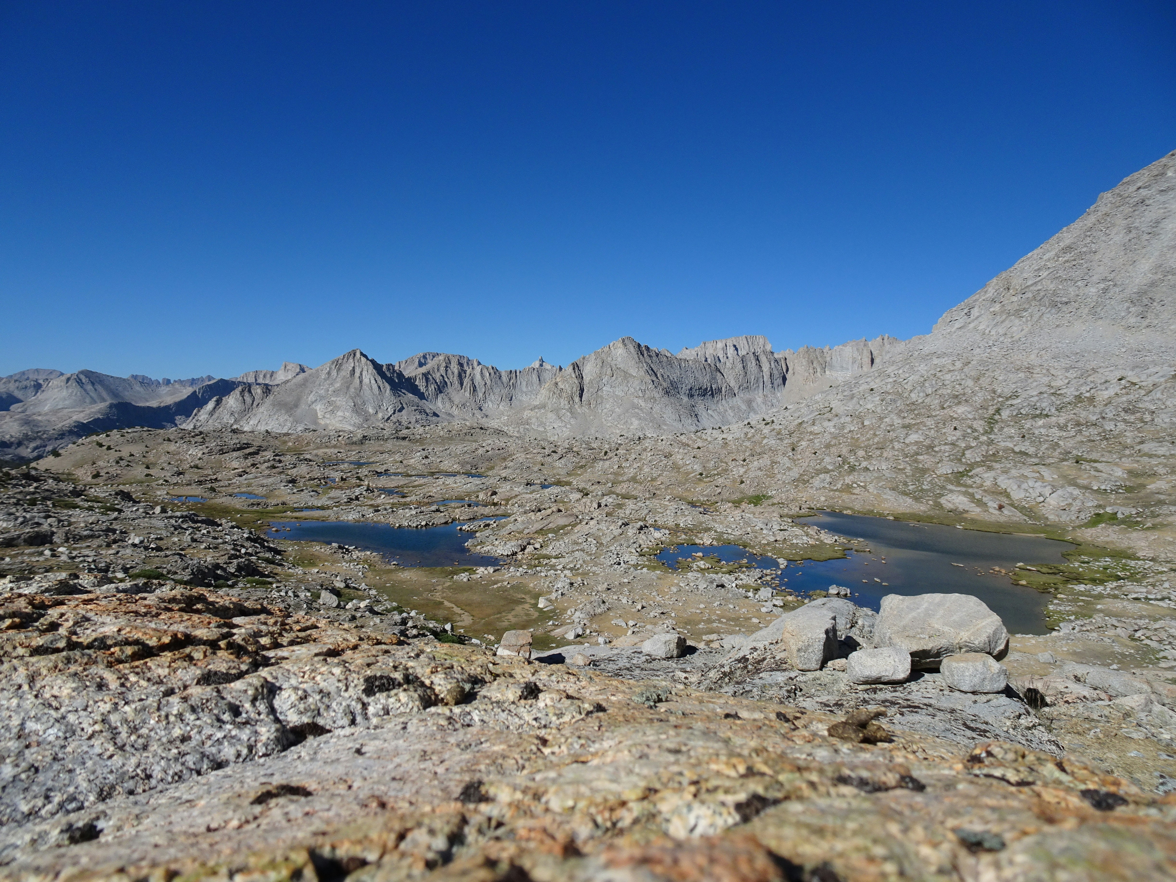 Photo by diggity_dog