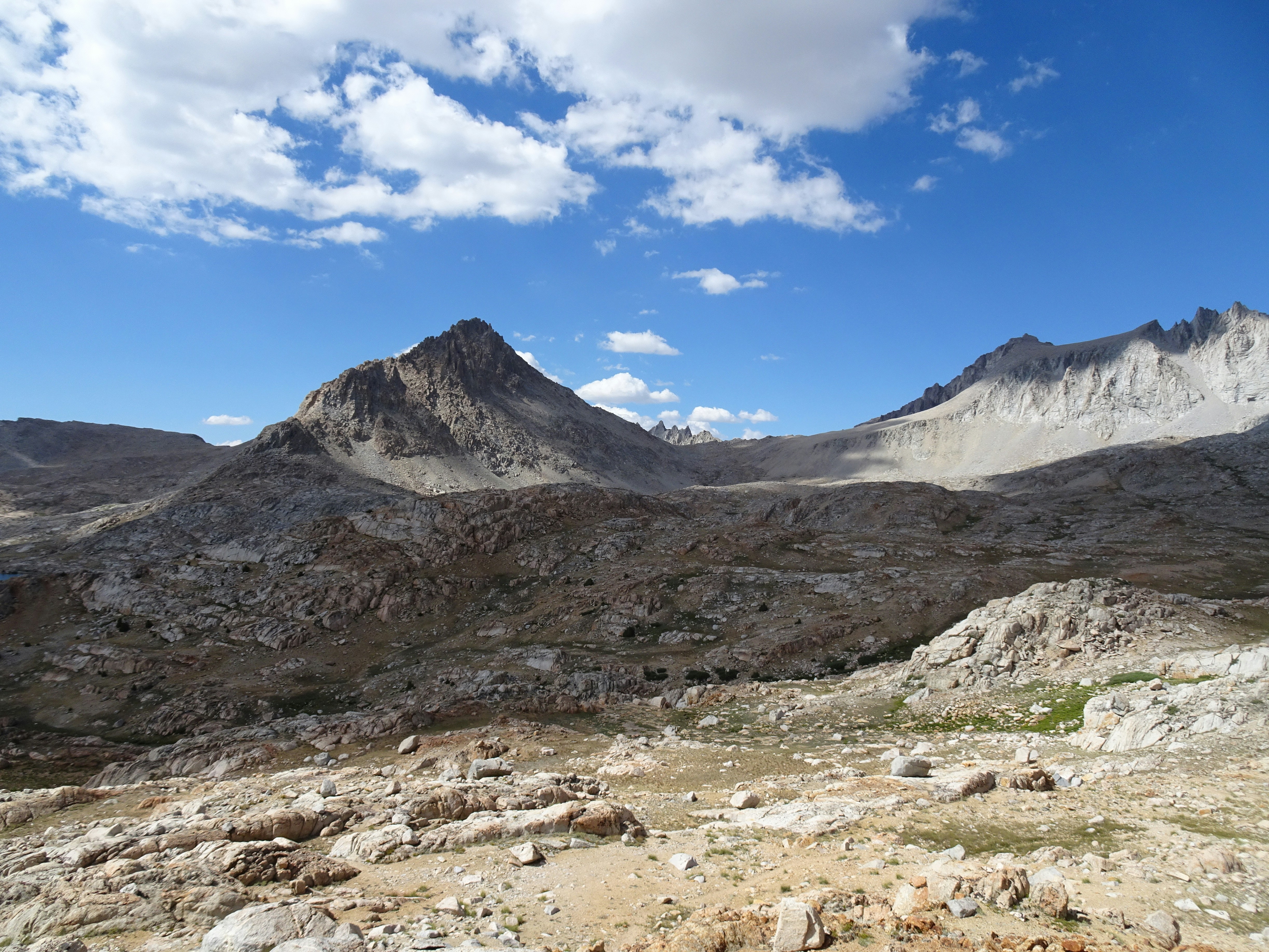 Photo by diggity_dog