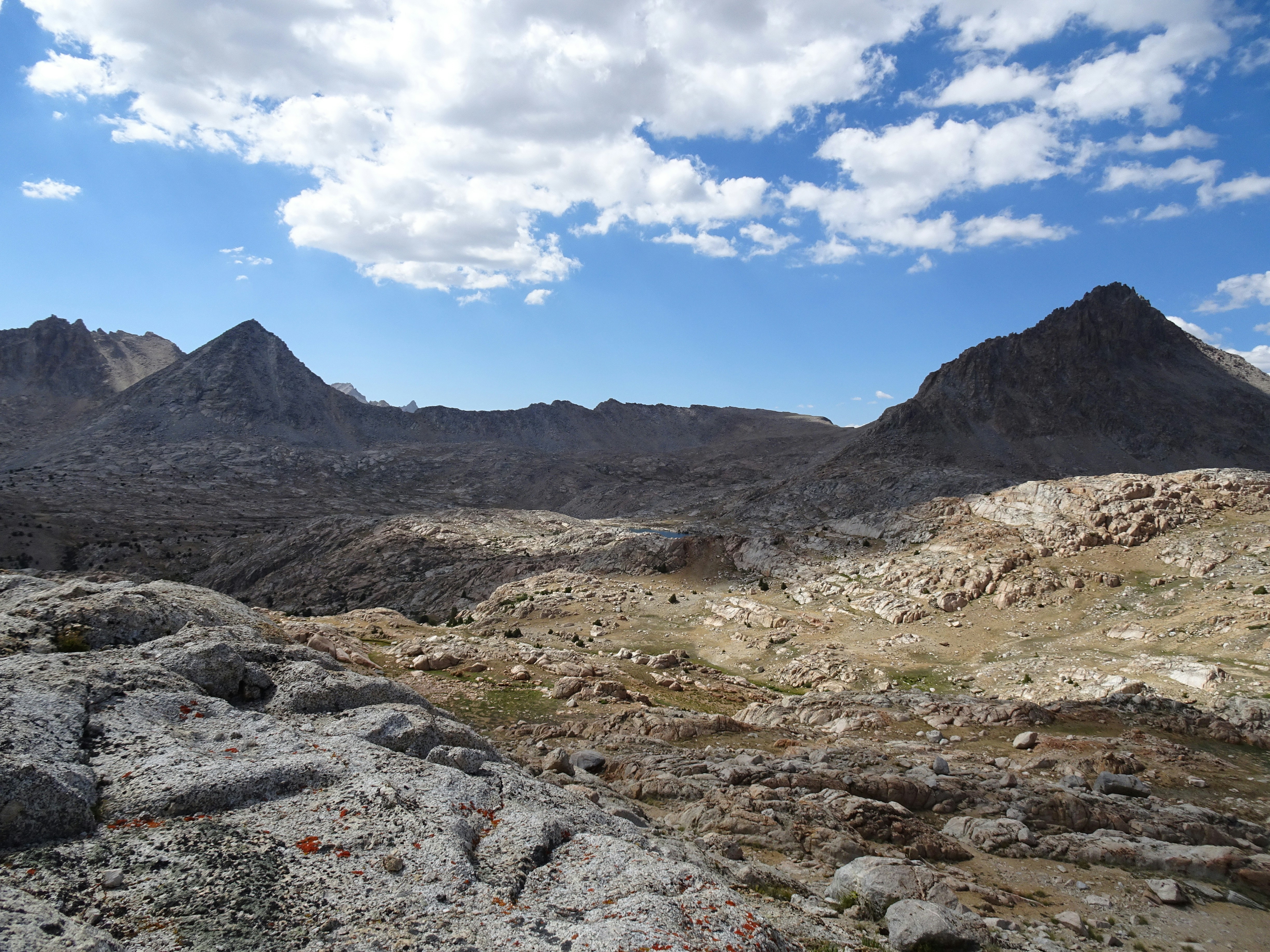 Photo by diggity_dog