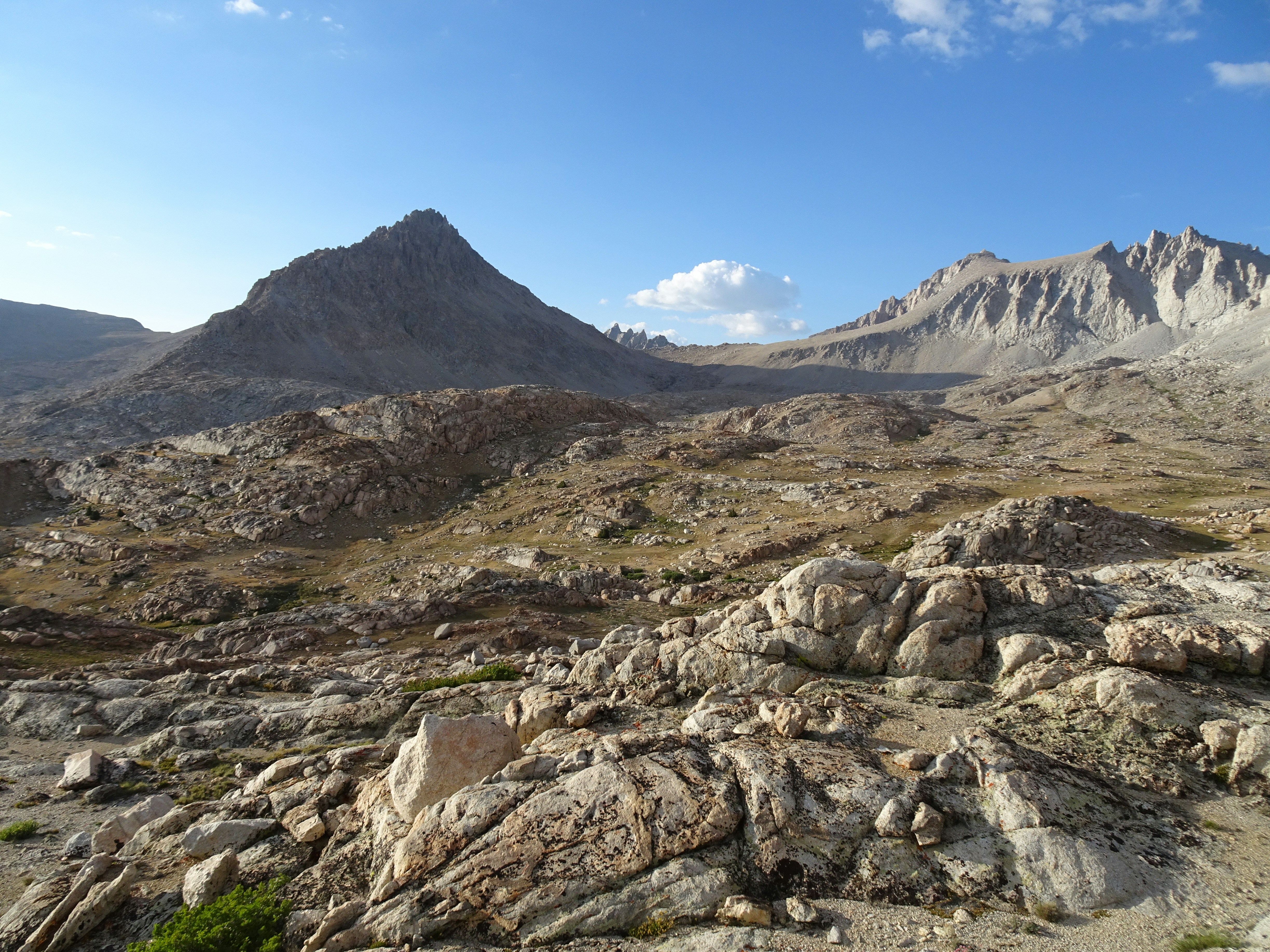 Photo by diggity_dog