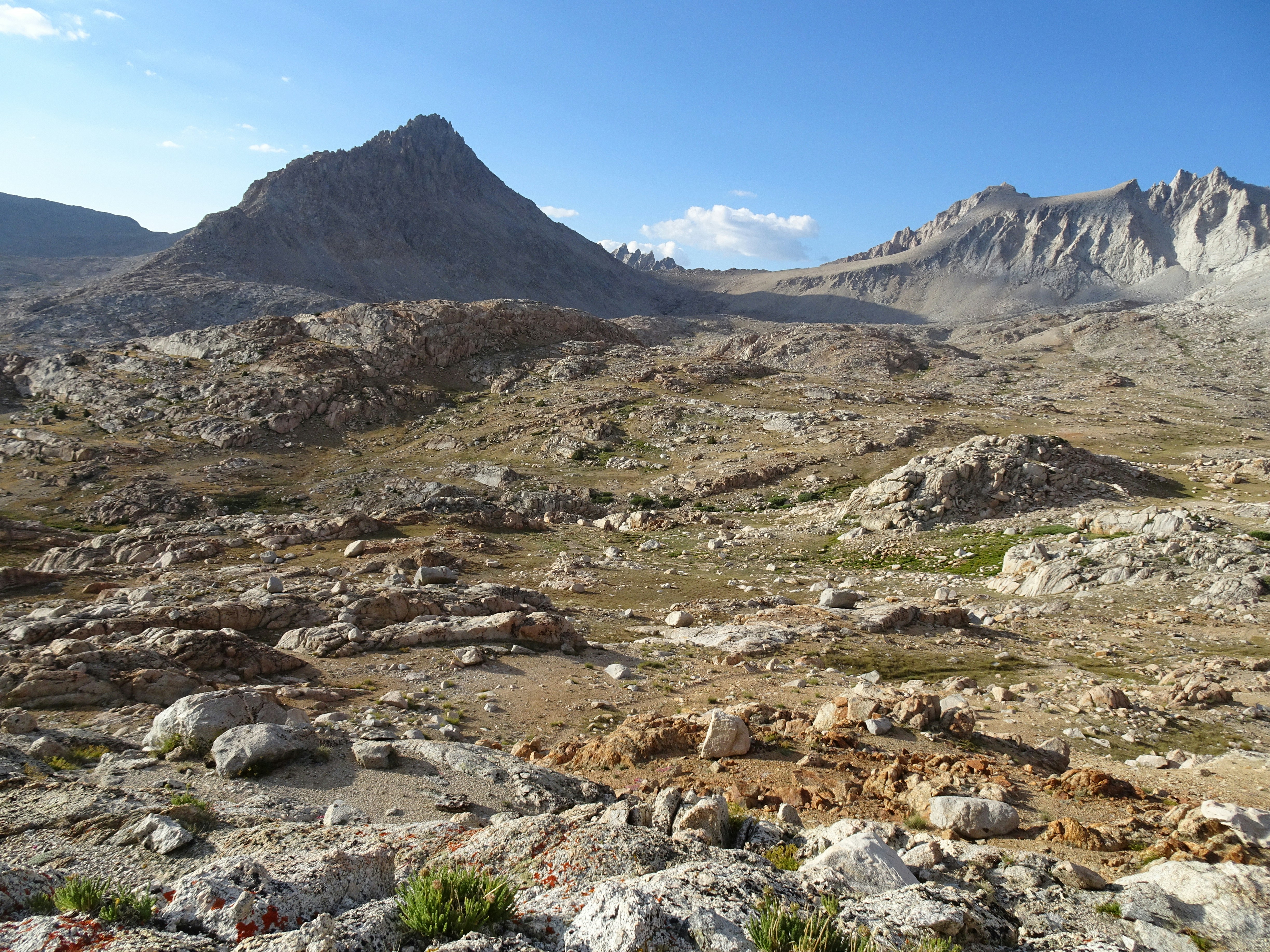 Photo by diggity_dog