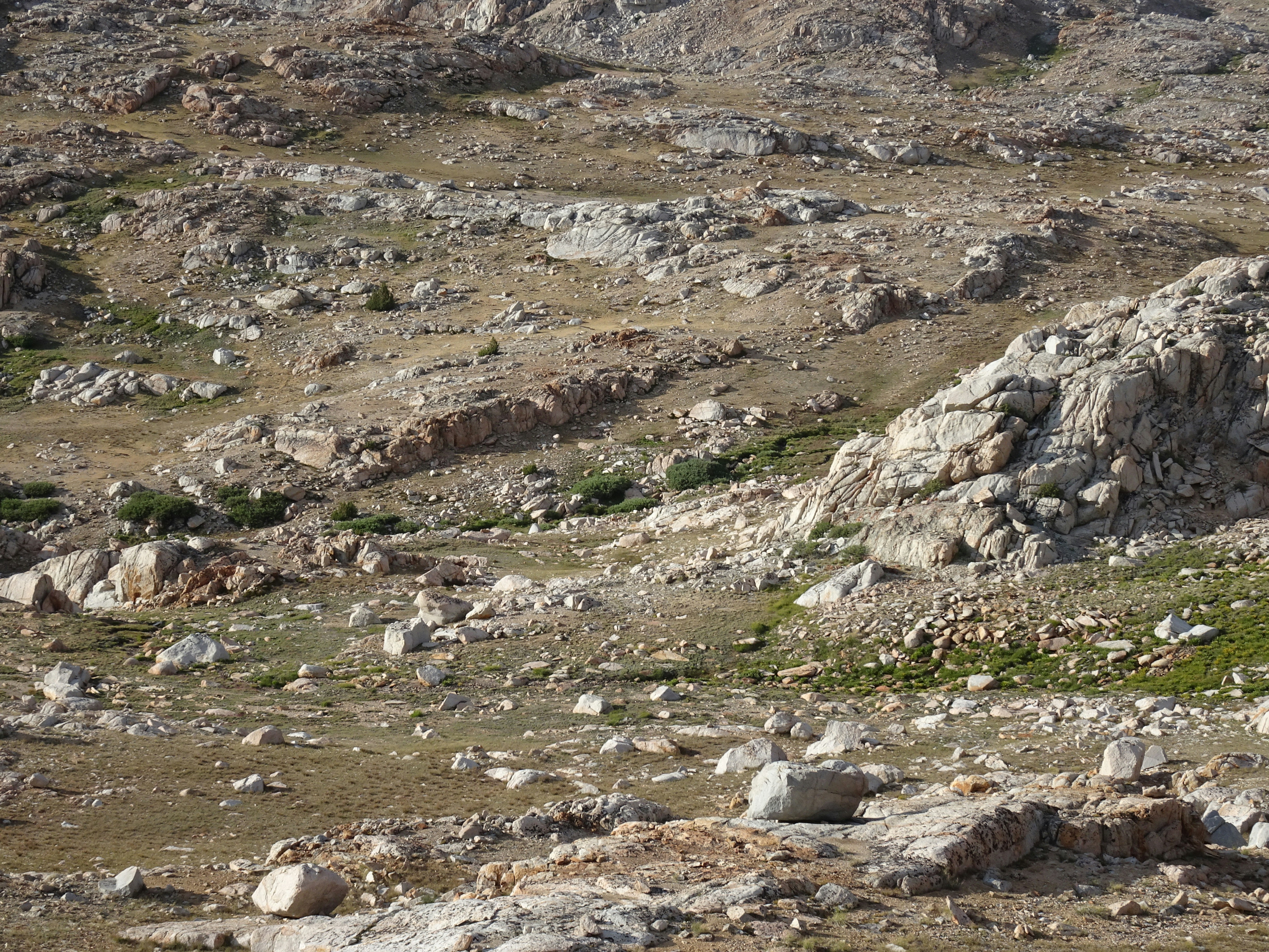 Photo by diggity_dog