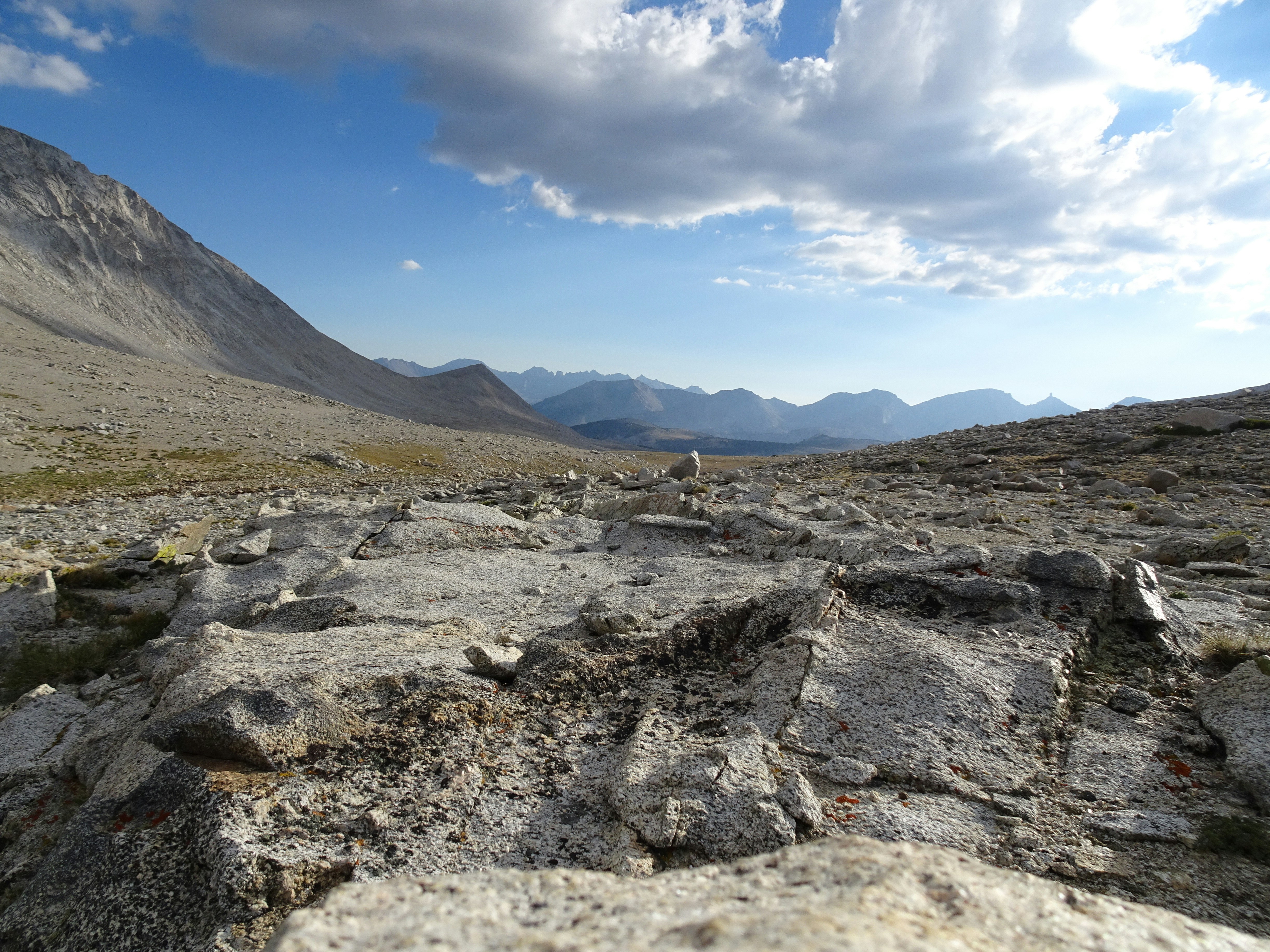 Photo by diggity_dog