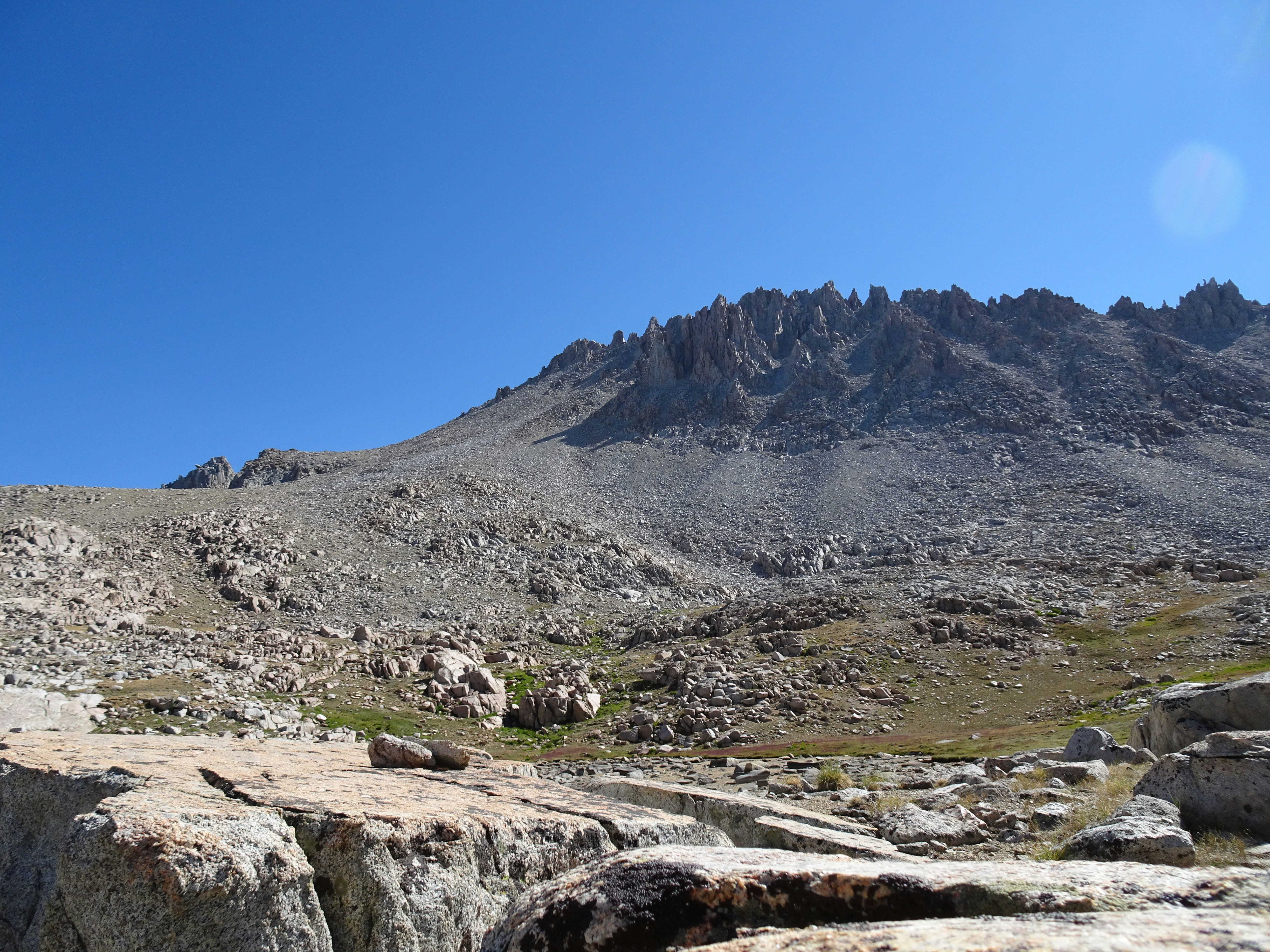 Photo by diggity_dog