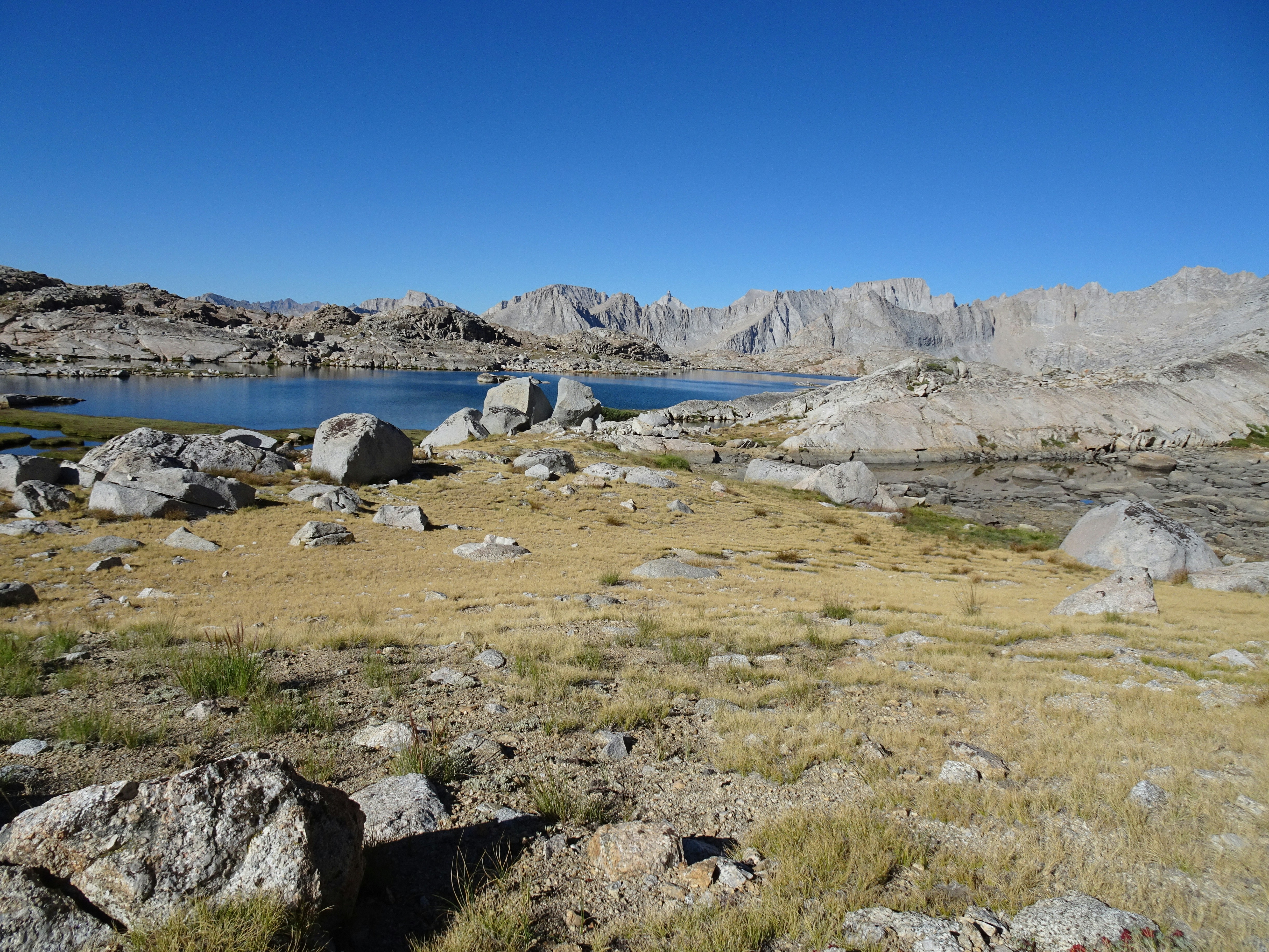 Photo by diggity_dog