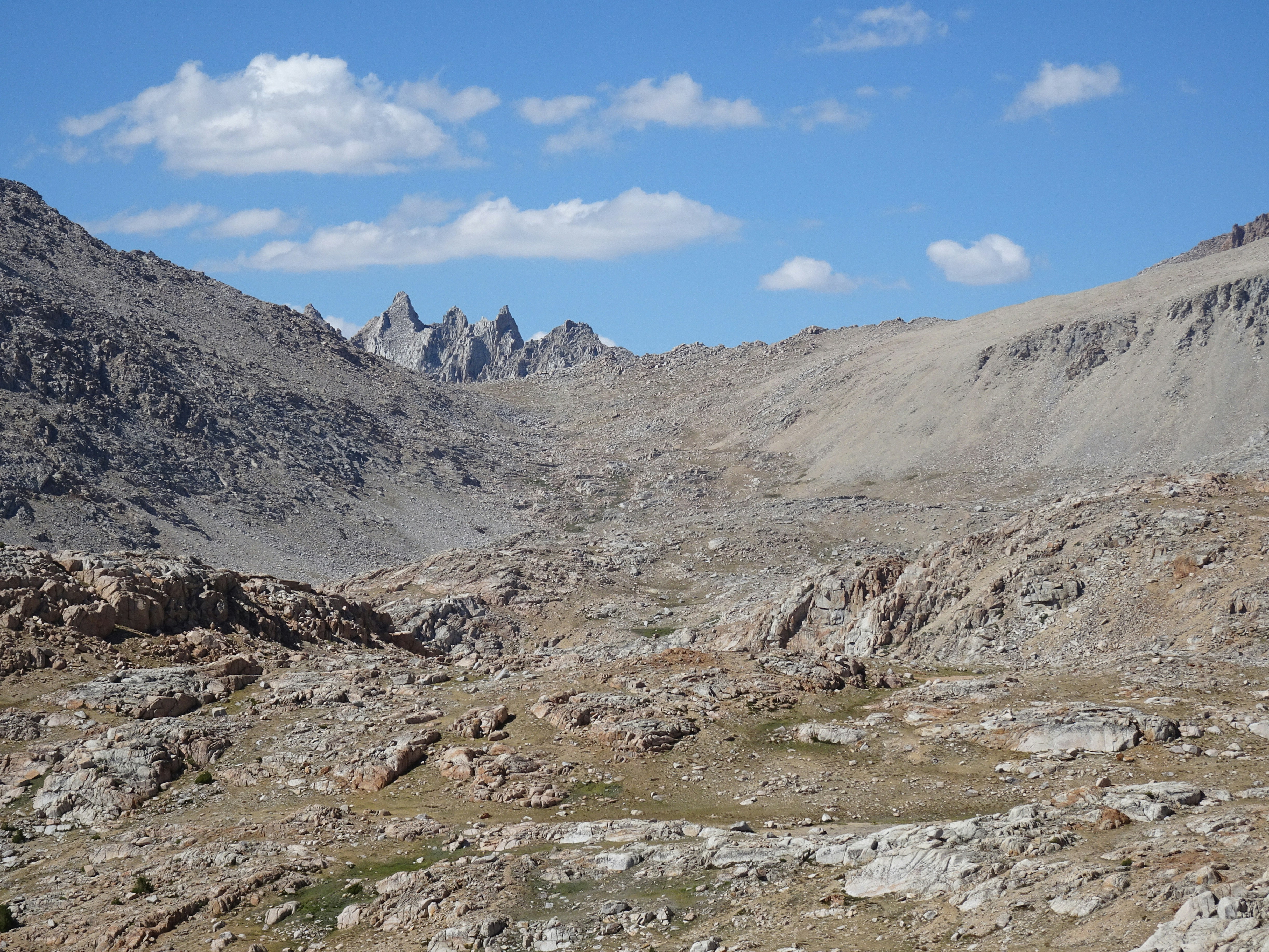 Photo by diggity_dog