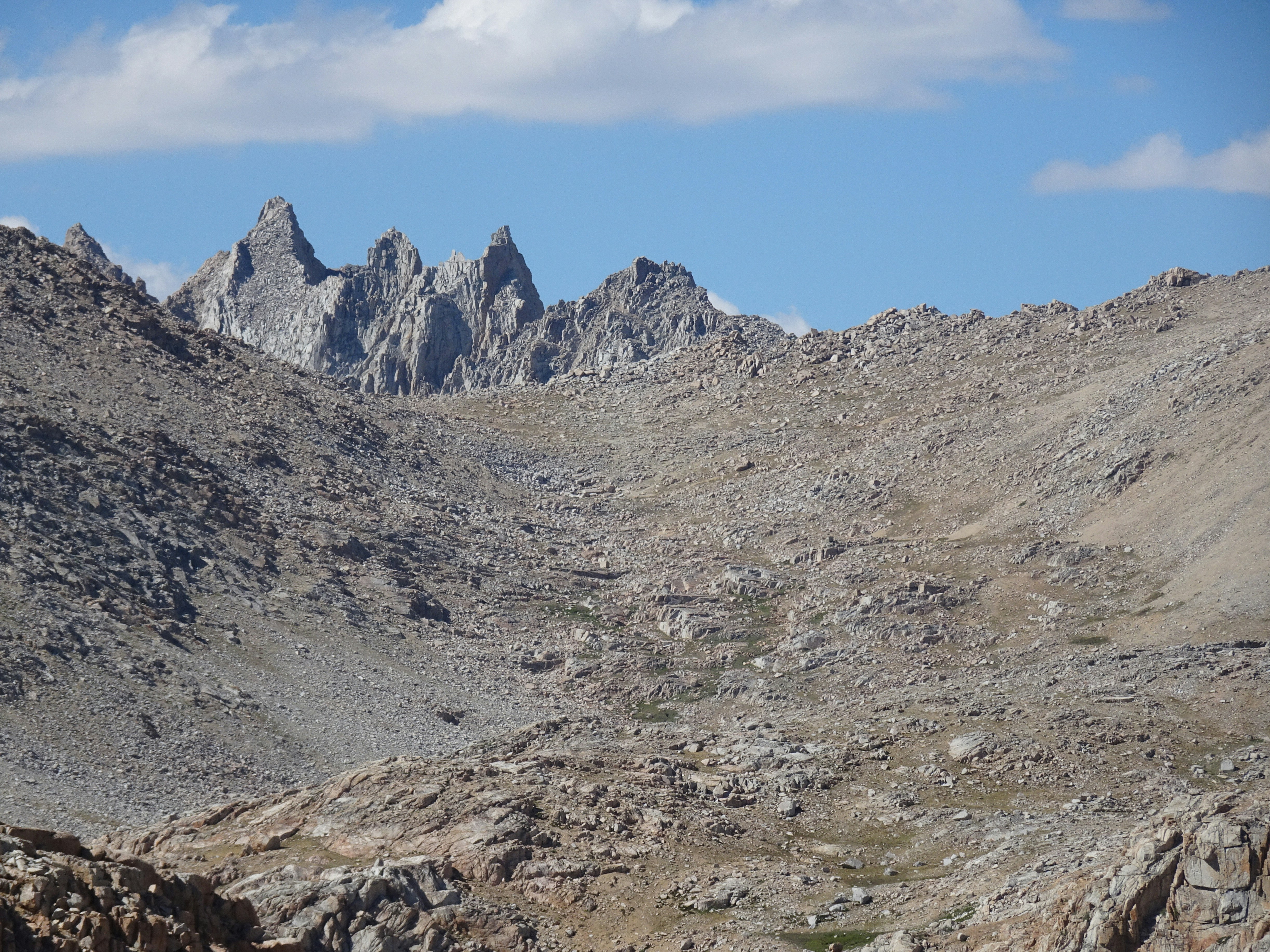 Photo by diggity_dog