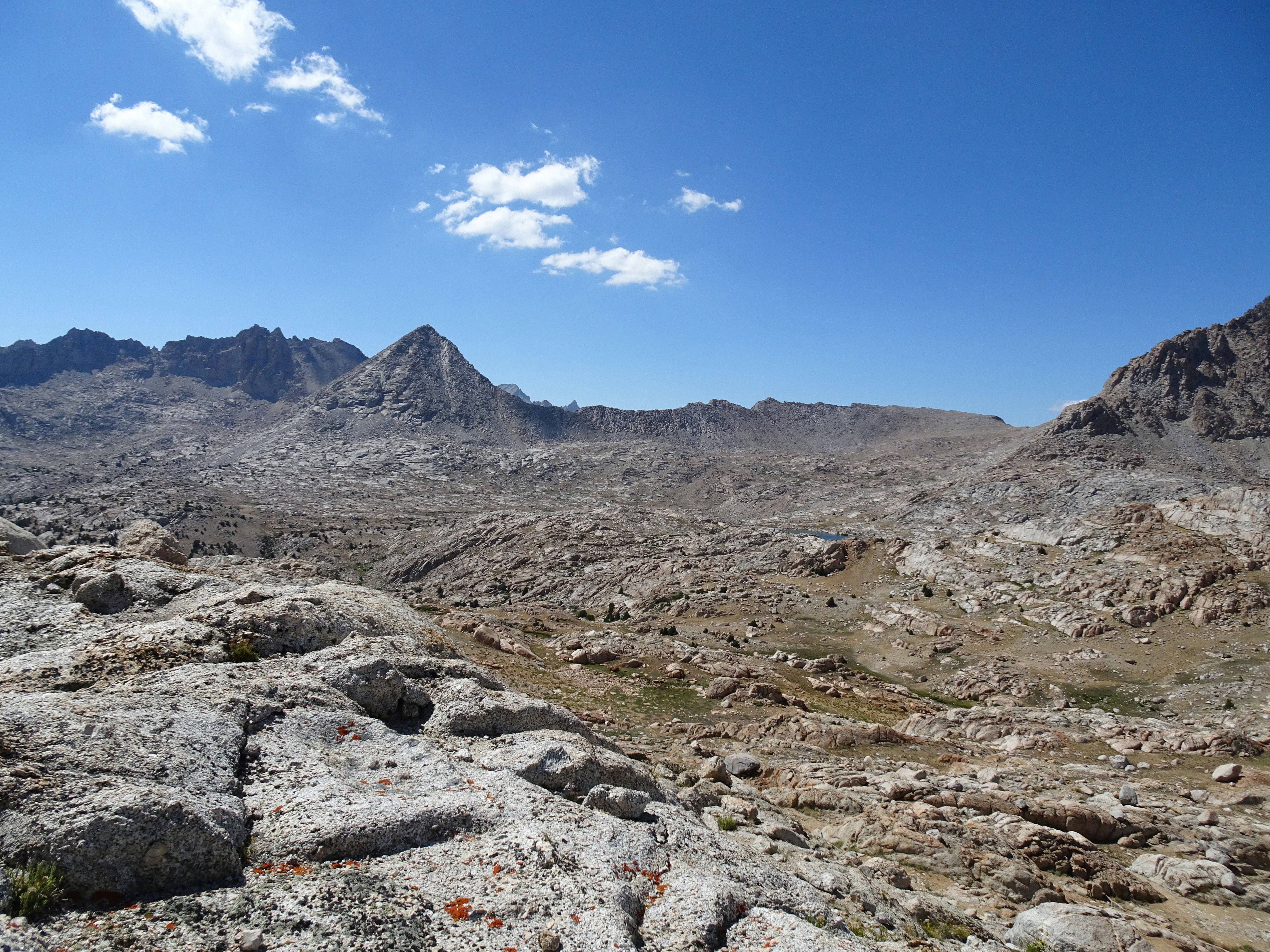 Photo by diggity_dog